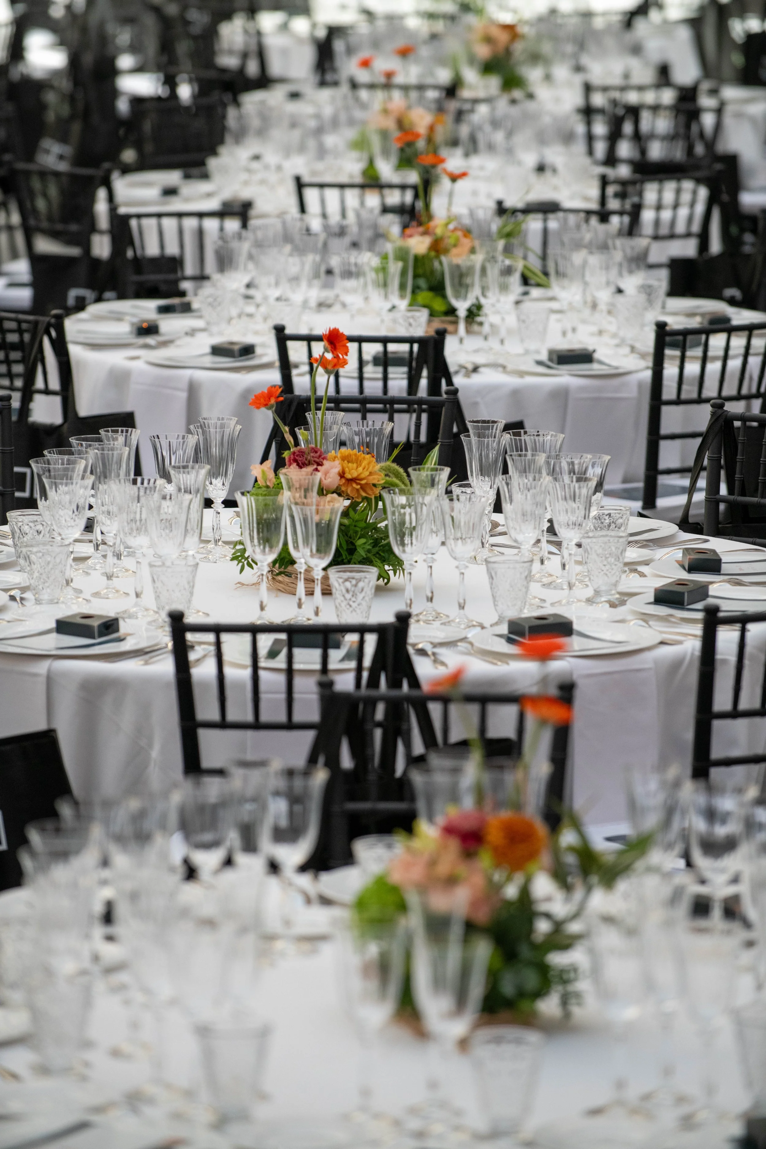 ESENTIA GALA-5.jpg