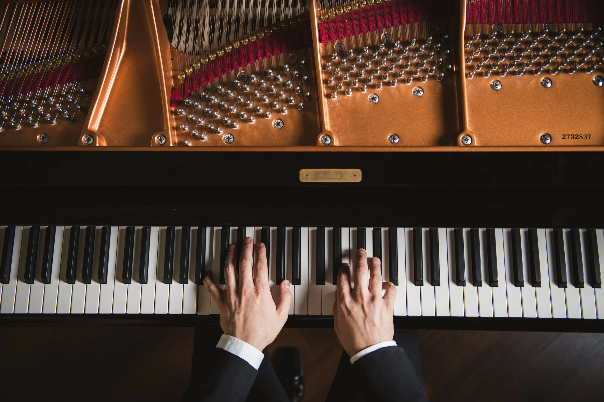 Francisco Fierro - Piano