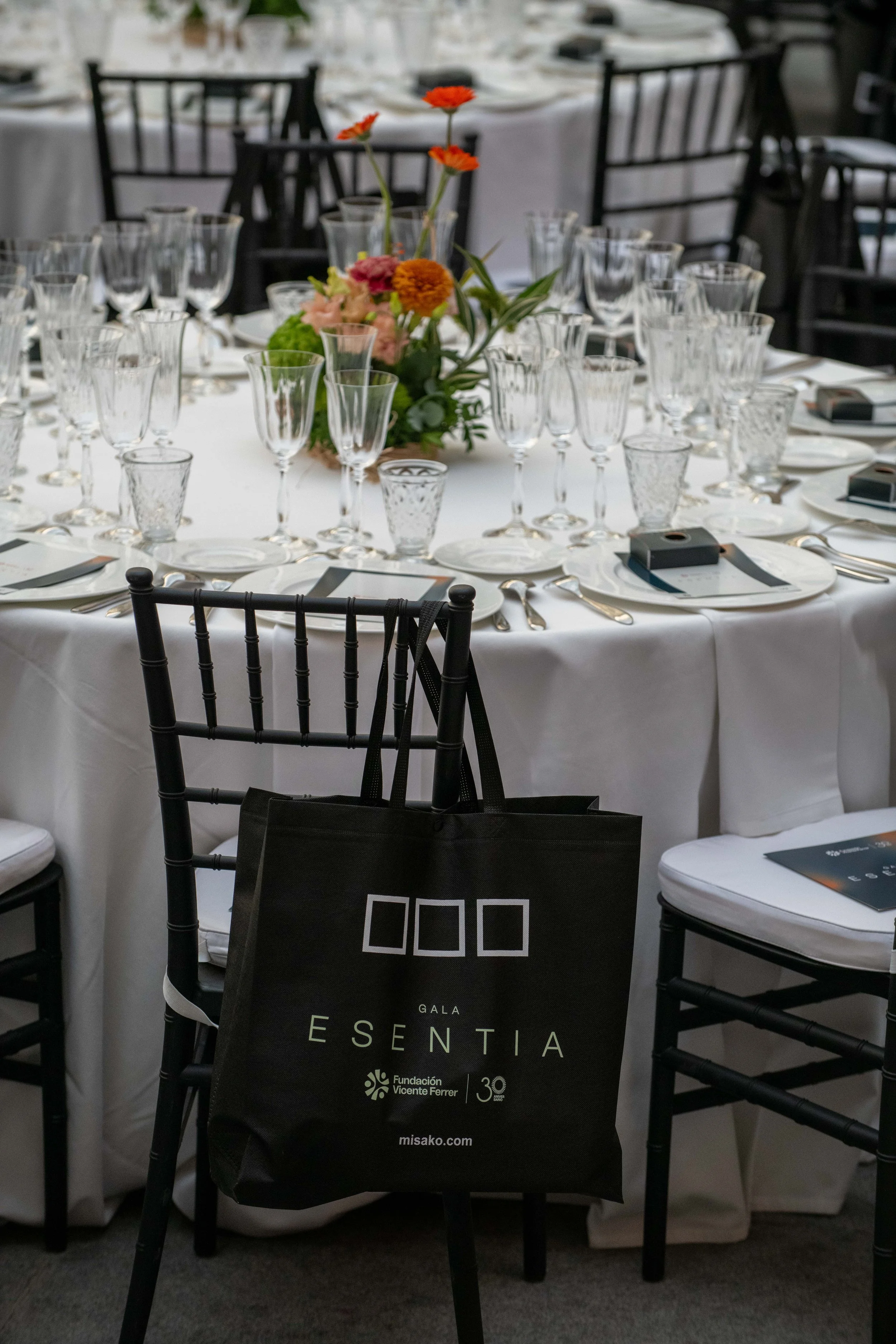 ESENTIA GALA-4.jpg