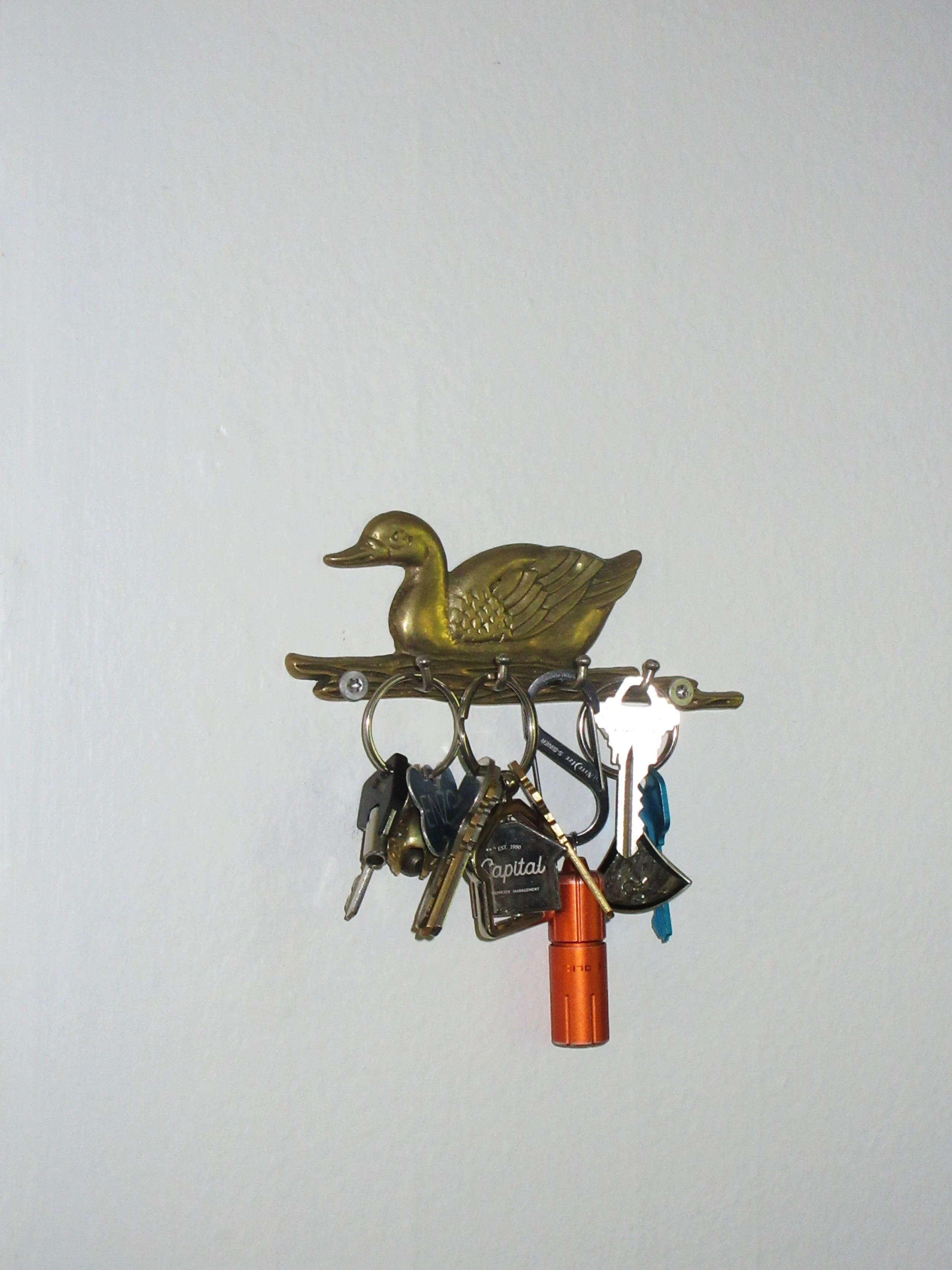 keys hang from a duck sent by sadie’s father. it arrived in one of his annual birthday boxes containing arbitrary personal items.