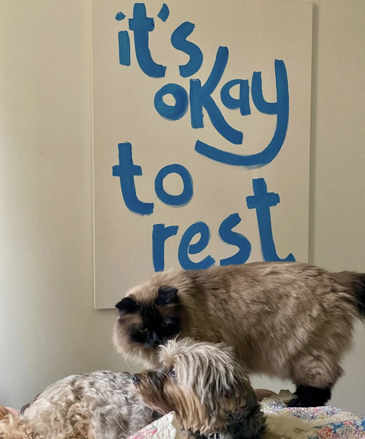 Screenshot 2025-12-25 at 2.05.14 AM.png