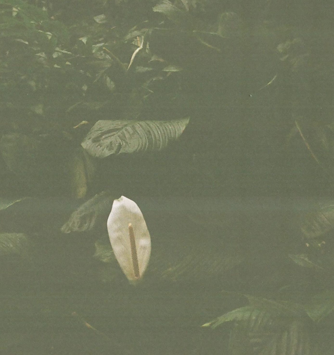 Screenshot 2025-12-25 at 2.03.50 AM.png