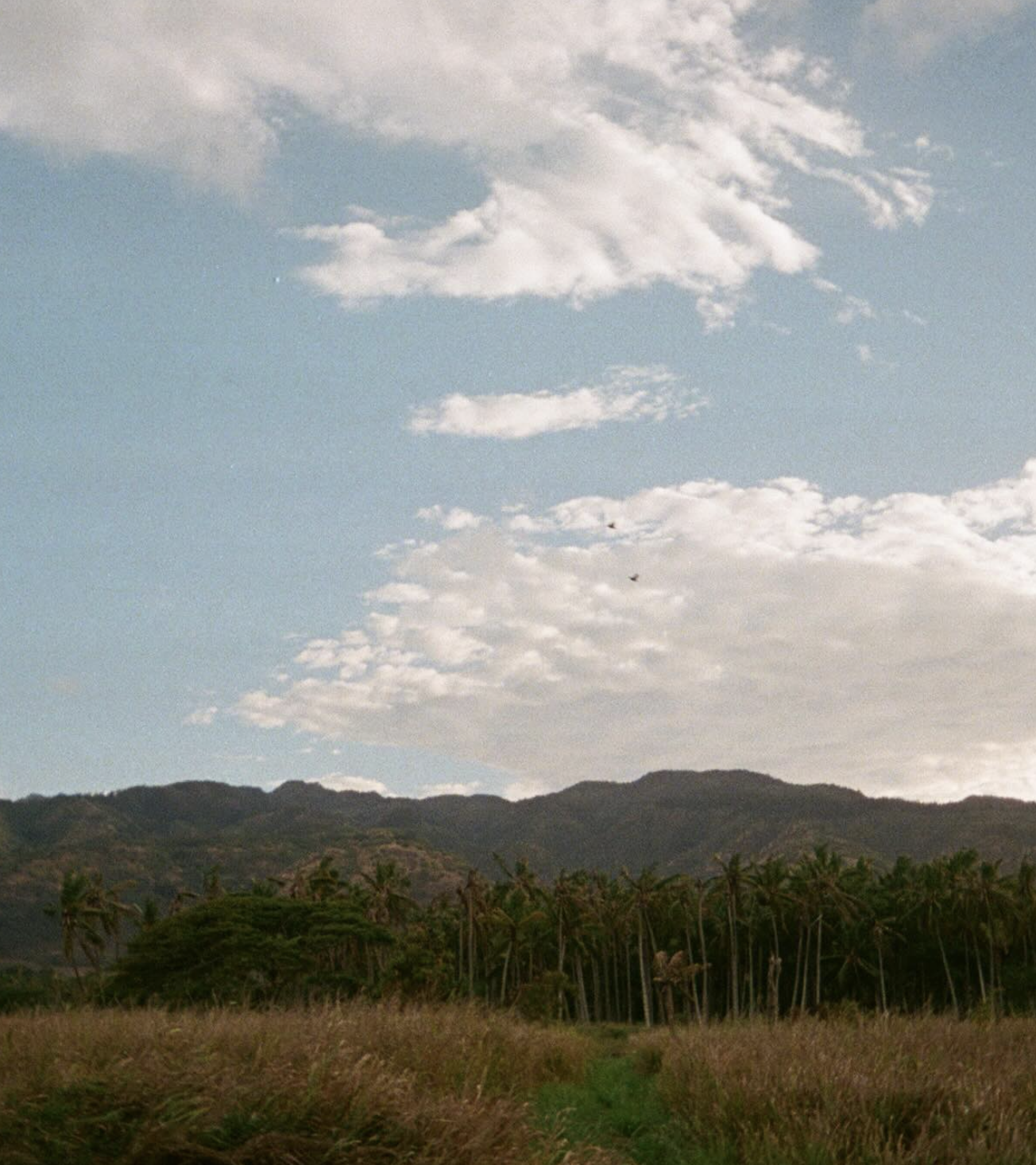 Screenshot 2025-12-25 at 2.02.49 AM.png