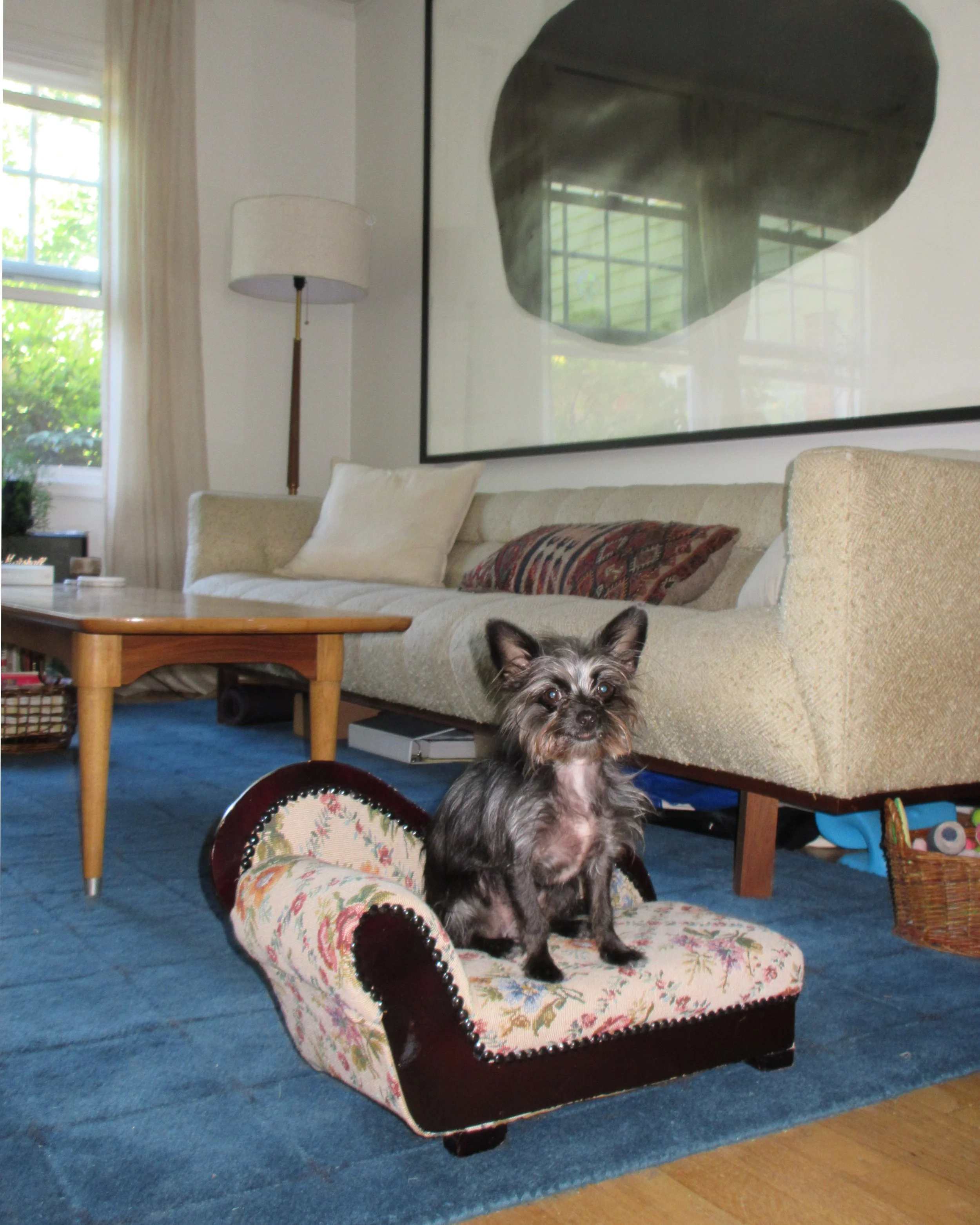 1 pepper's house 2.jpg