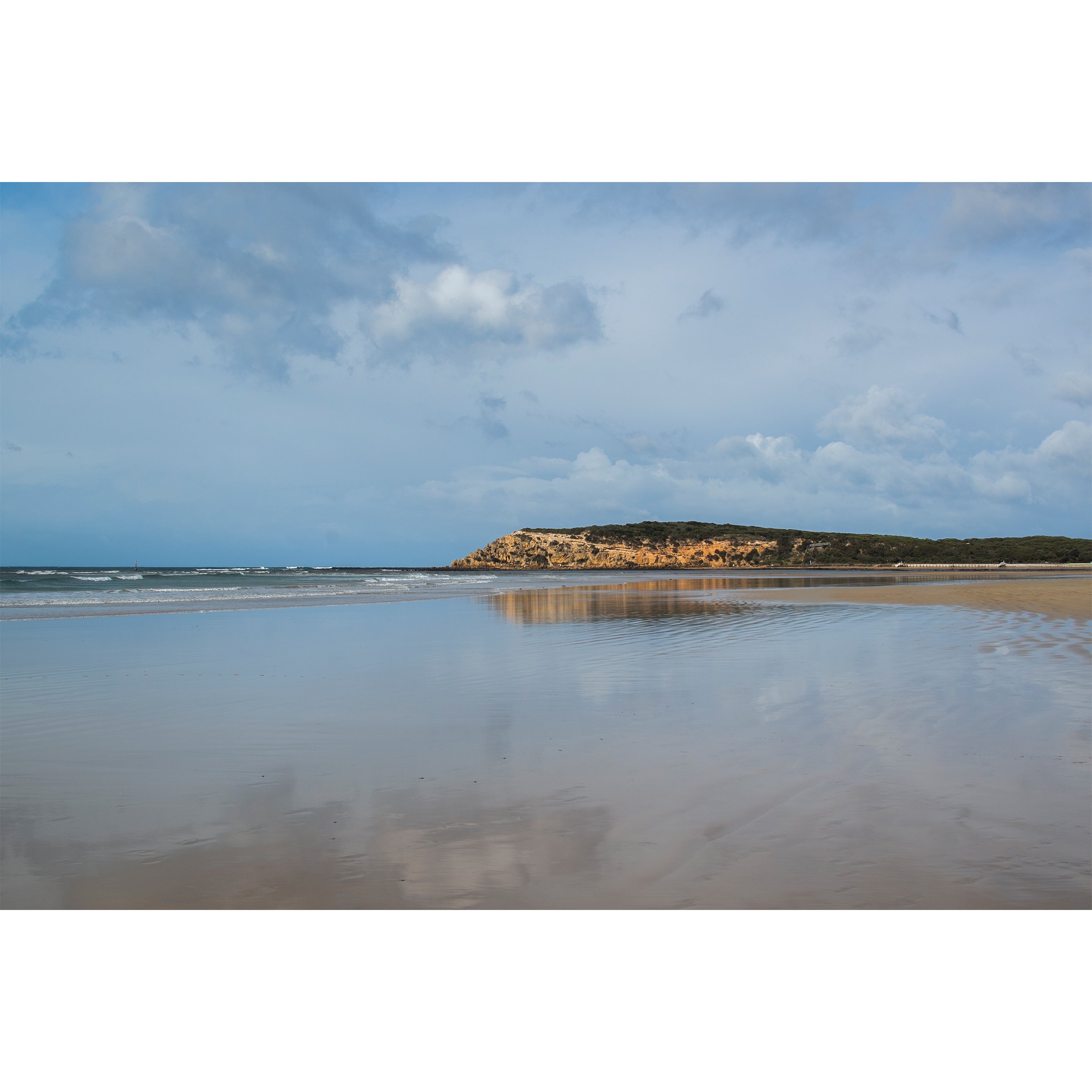 WURSTER-PRINT-BARWONHEADS.jpg