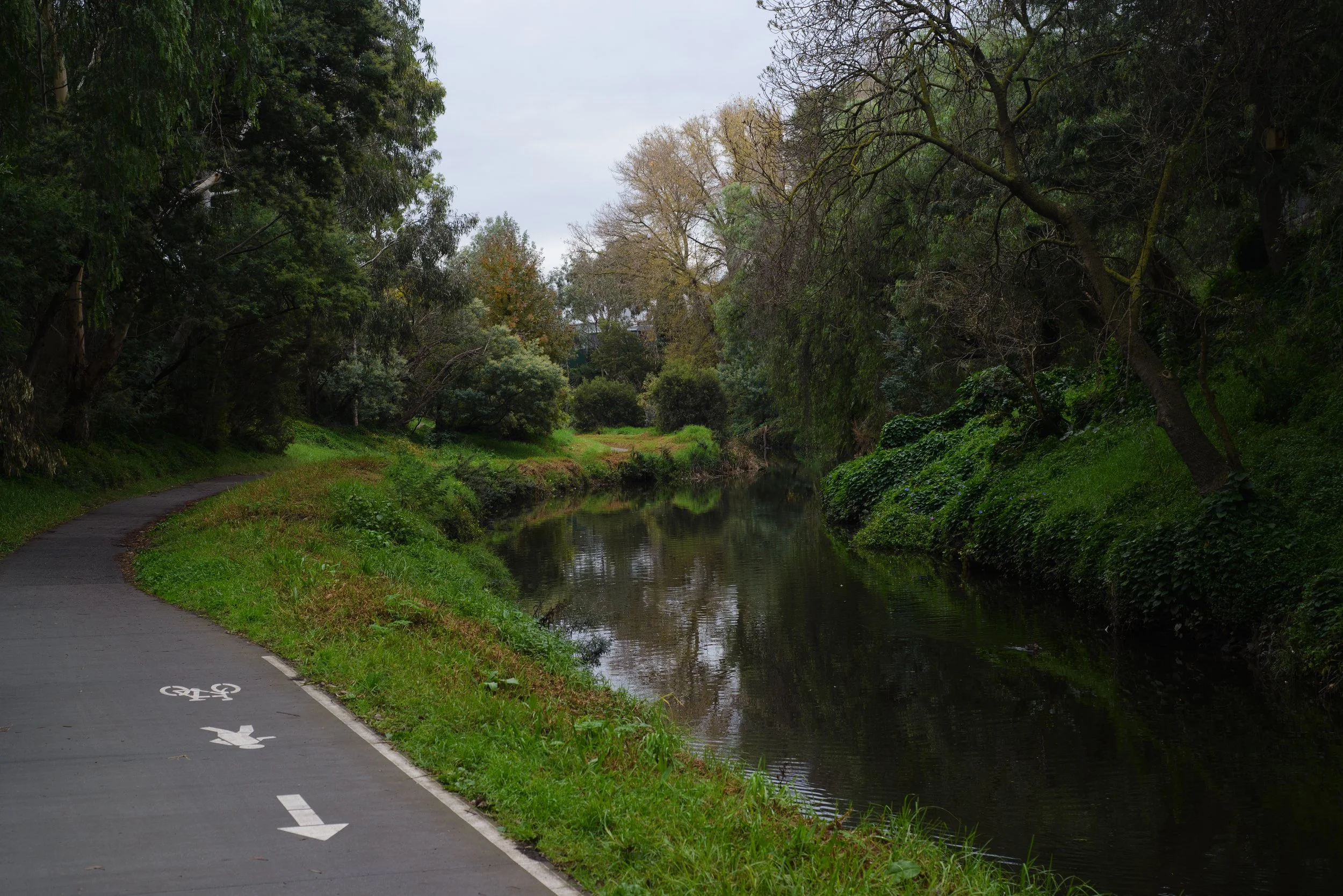 LIMITED ED_MERRICREEK_MAY2021_ copy.jpg