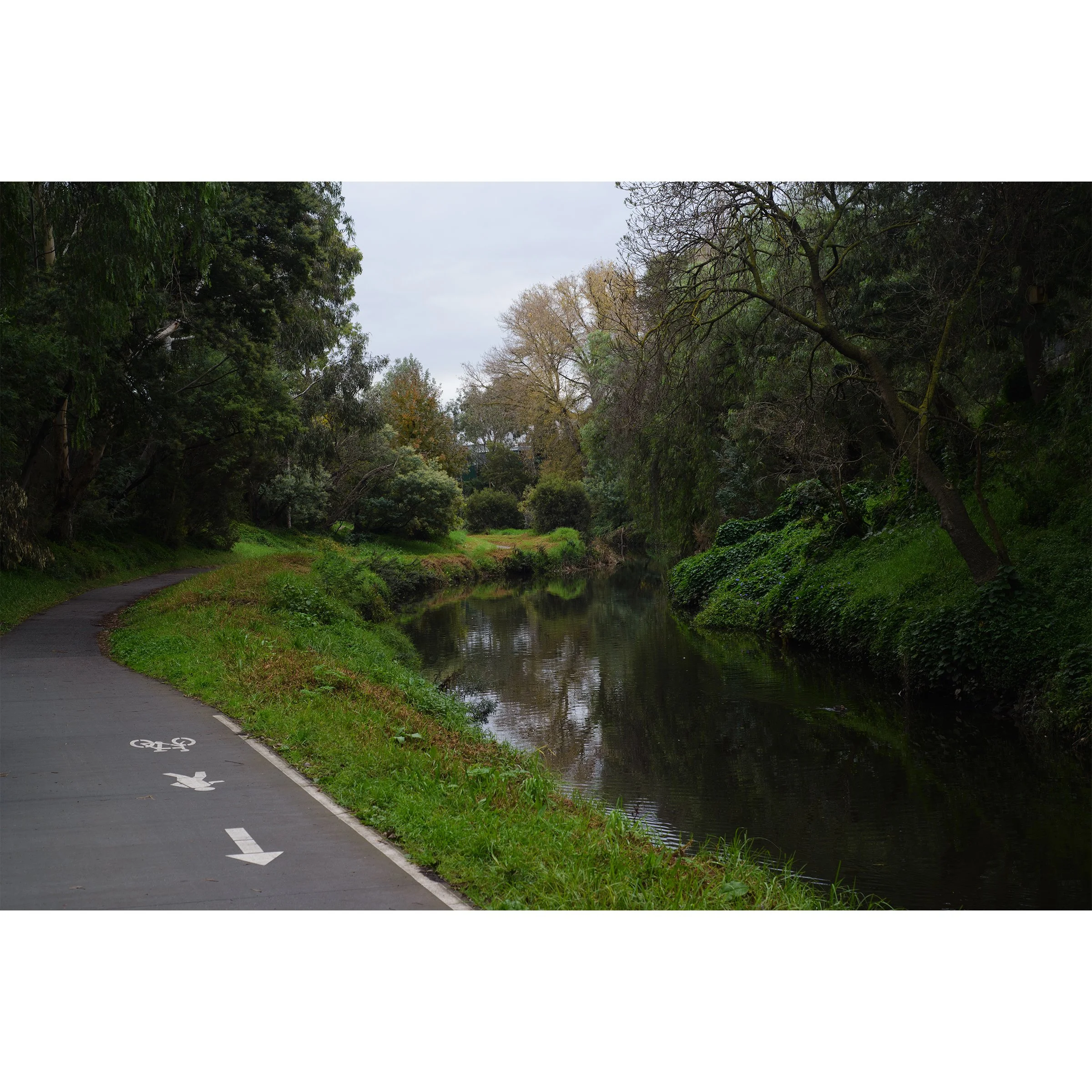 MERRI_CREEK_WURSTER-PRINT.jpg