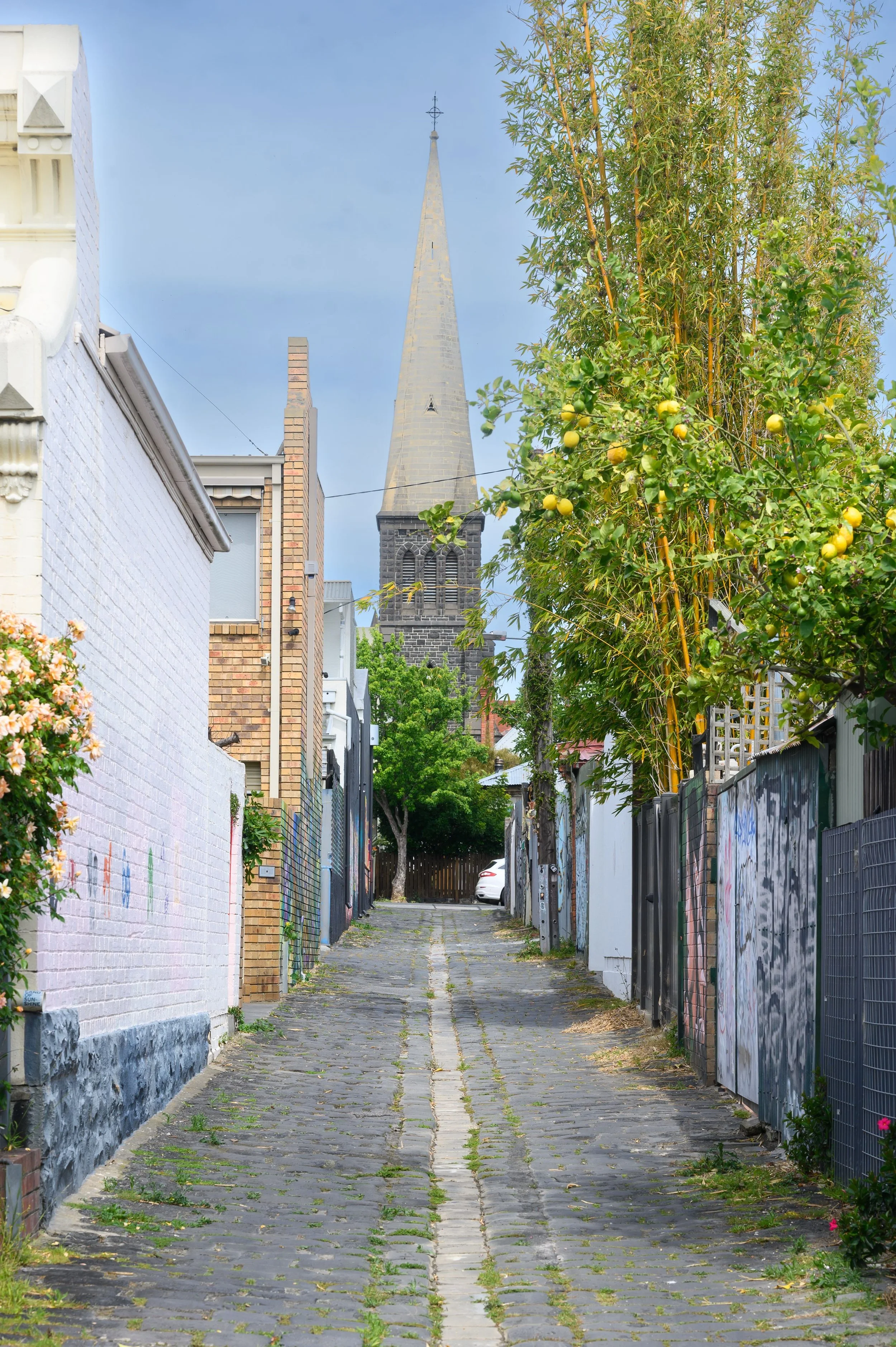 FITZROY_SPRING_JULIA.jpg