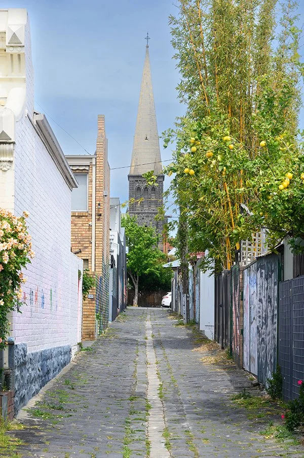 smallestFITZROY_SPRING_JULIA copy.jpg