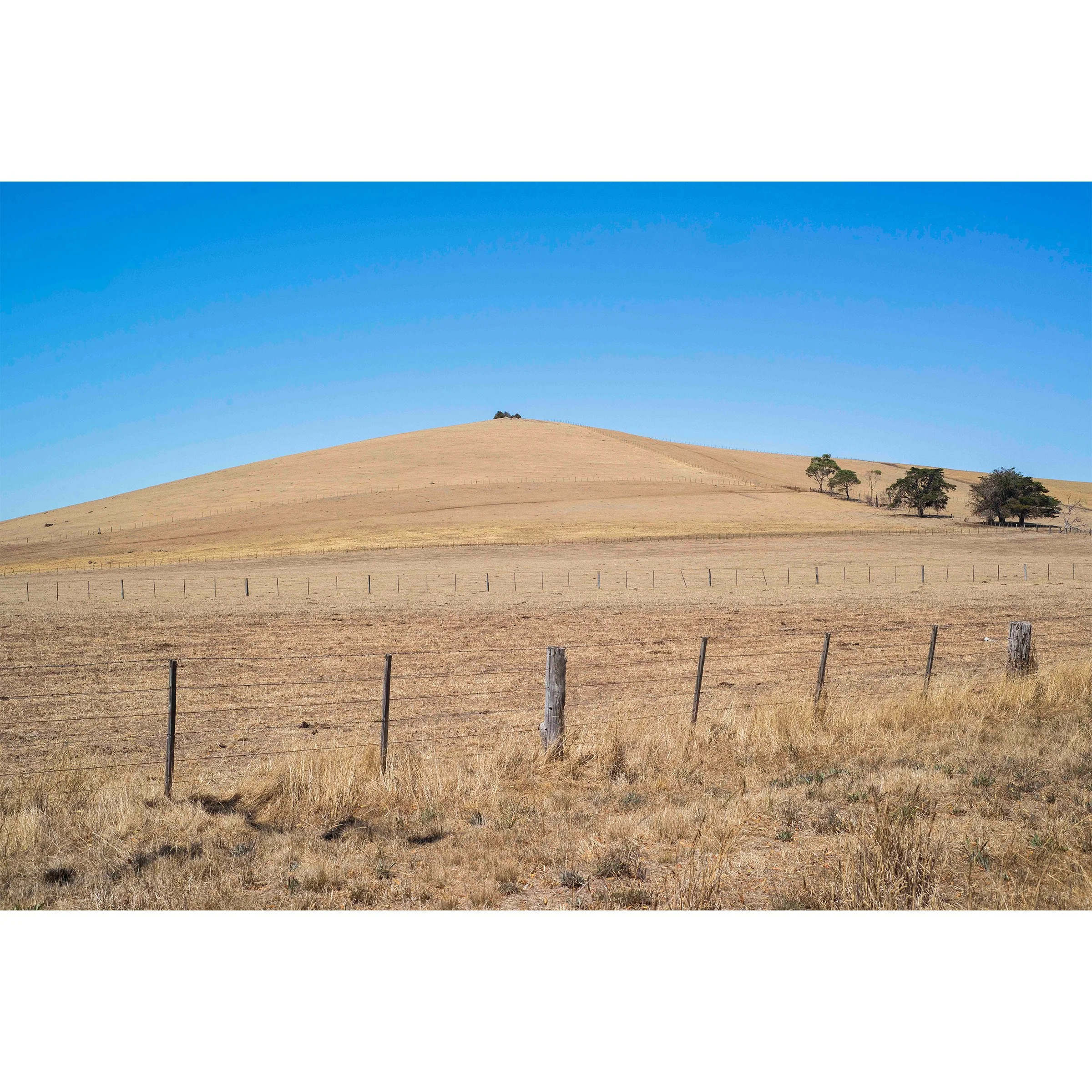 WURSTER-PRINT-CLUNES.jpg