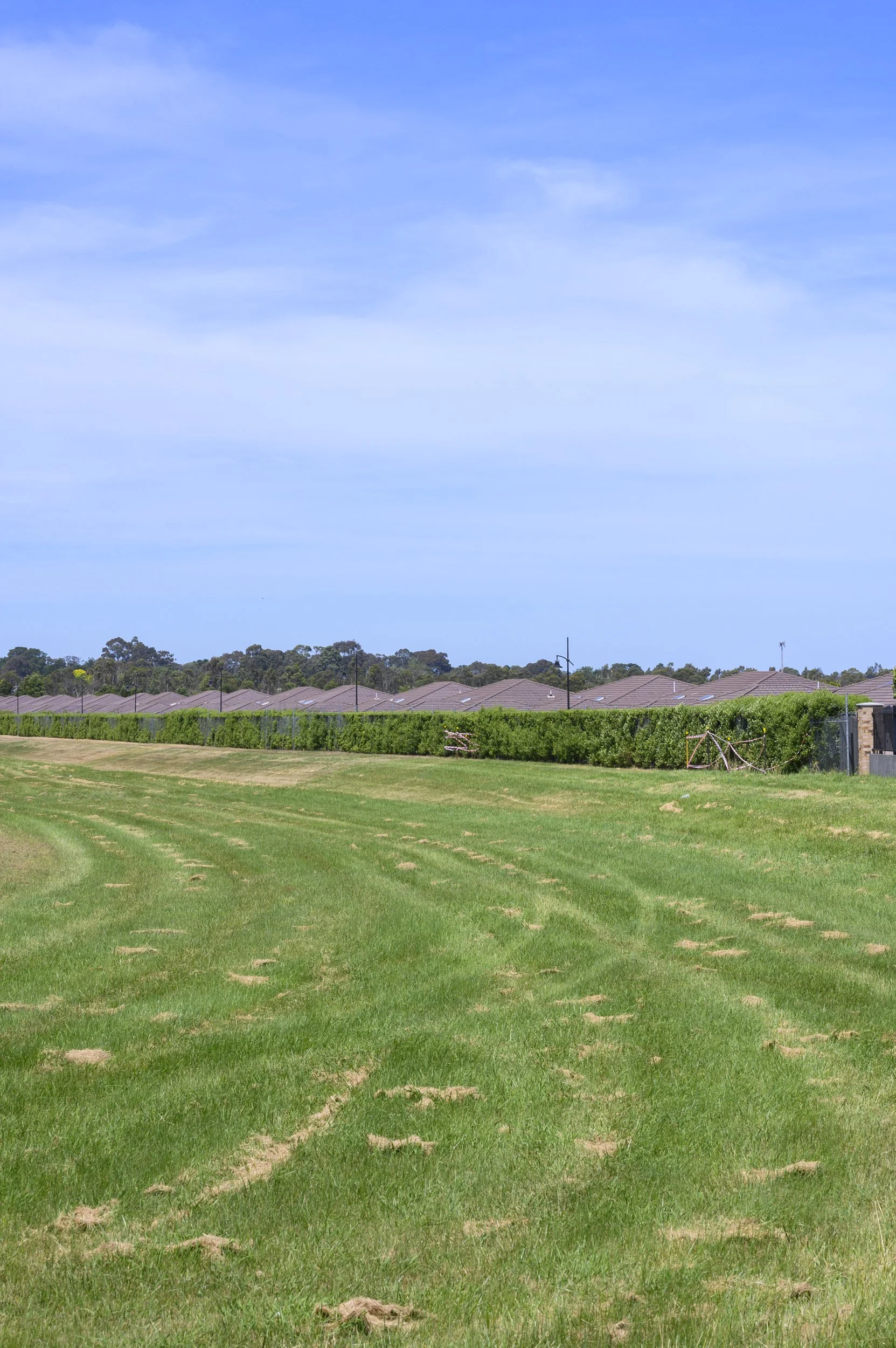 EDGELANDS_20241116PACKENHAM.jpg