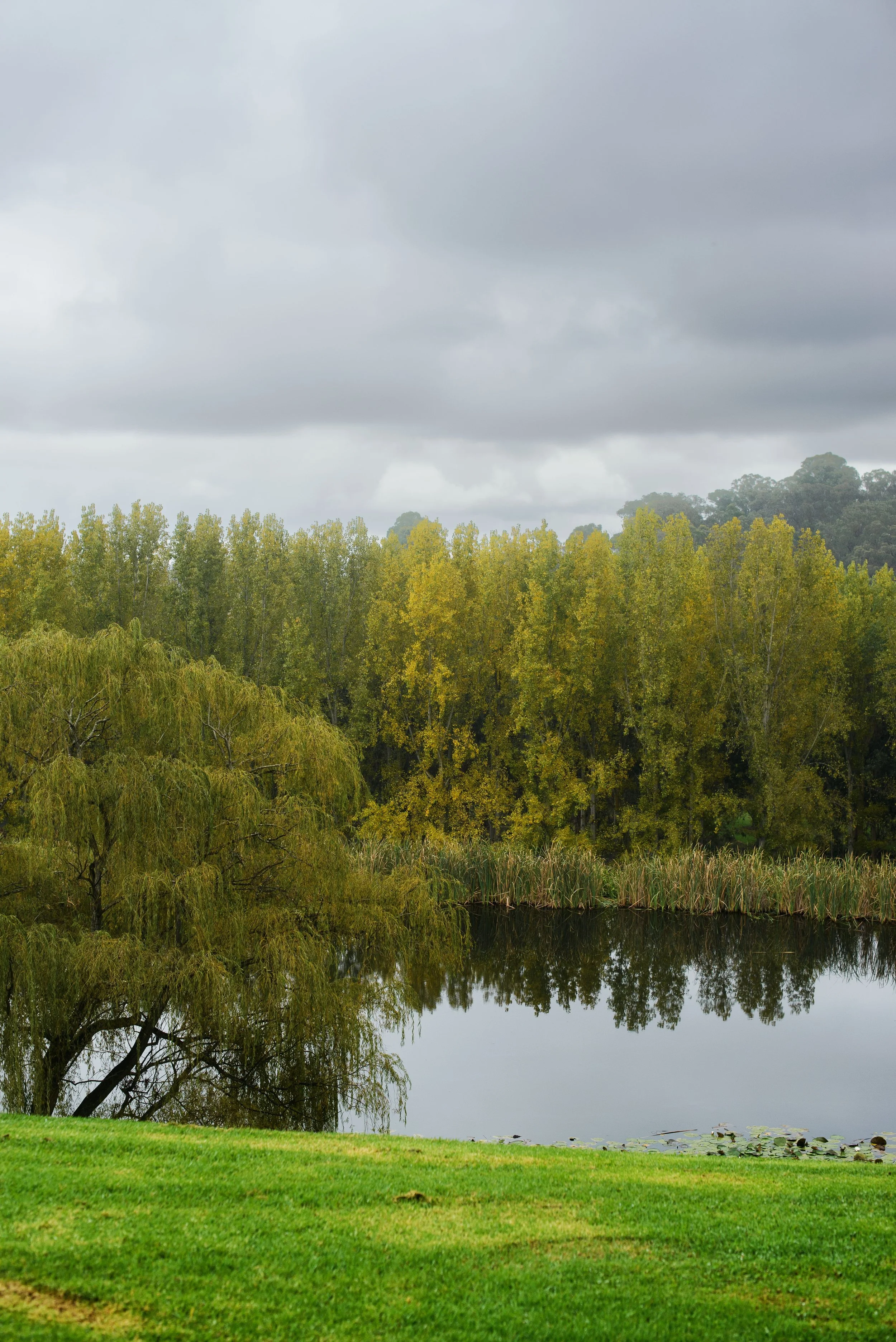 Yarra Valley