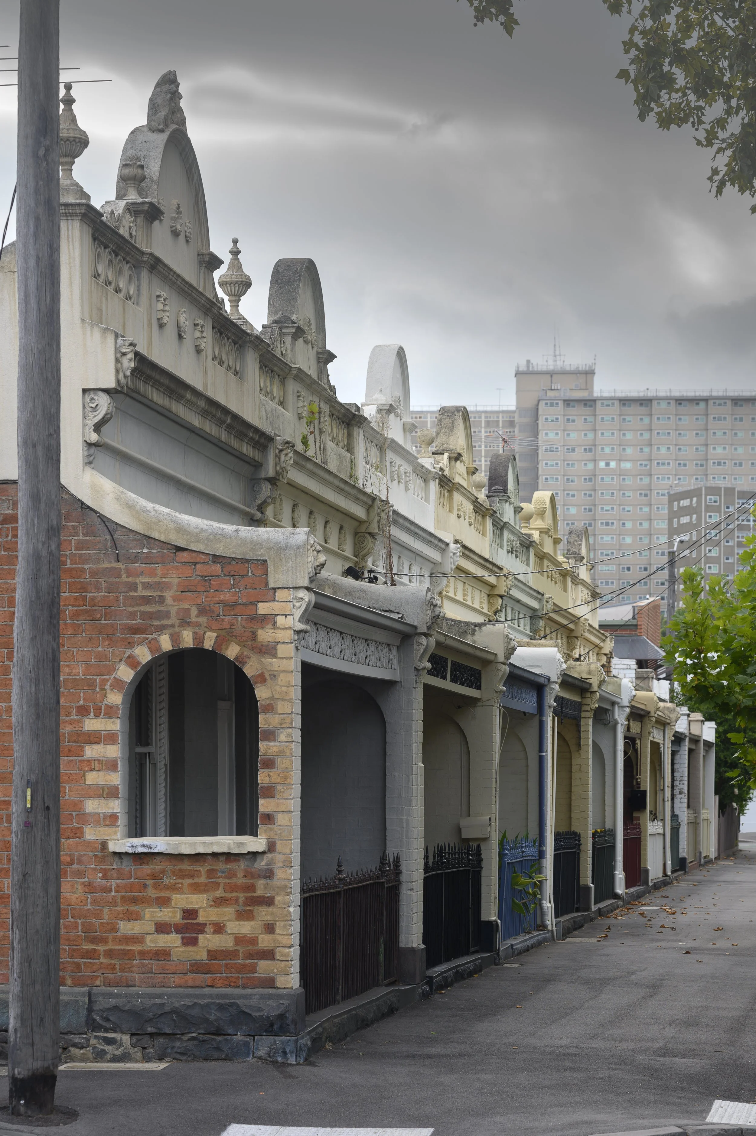 CARLTON20250207.JPG