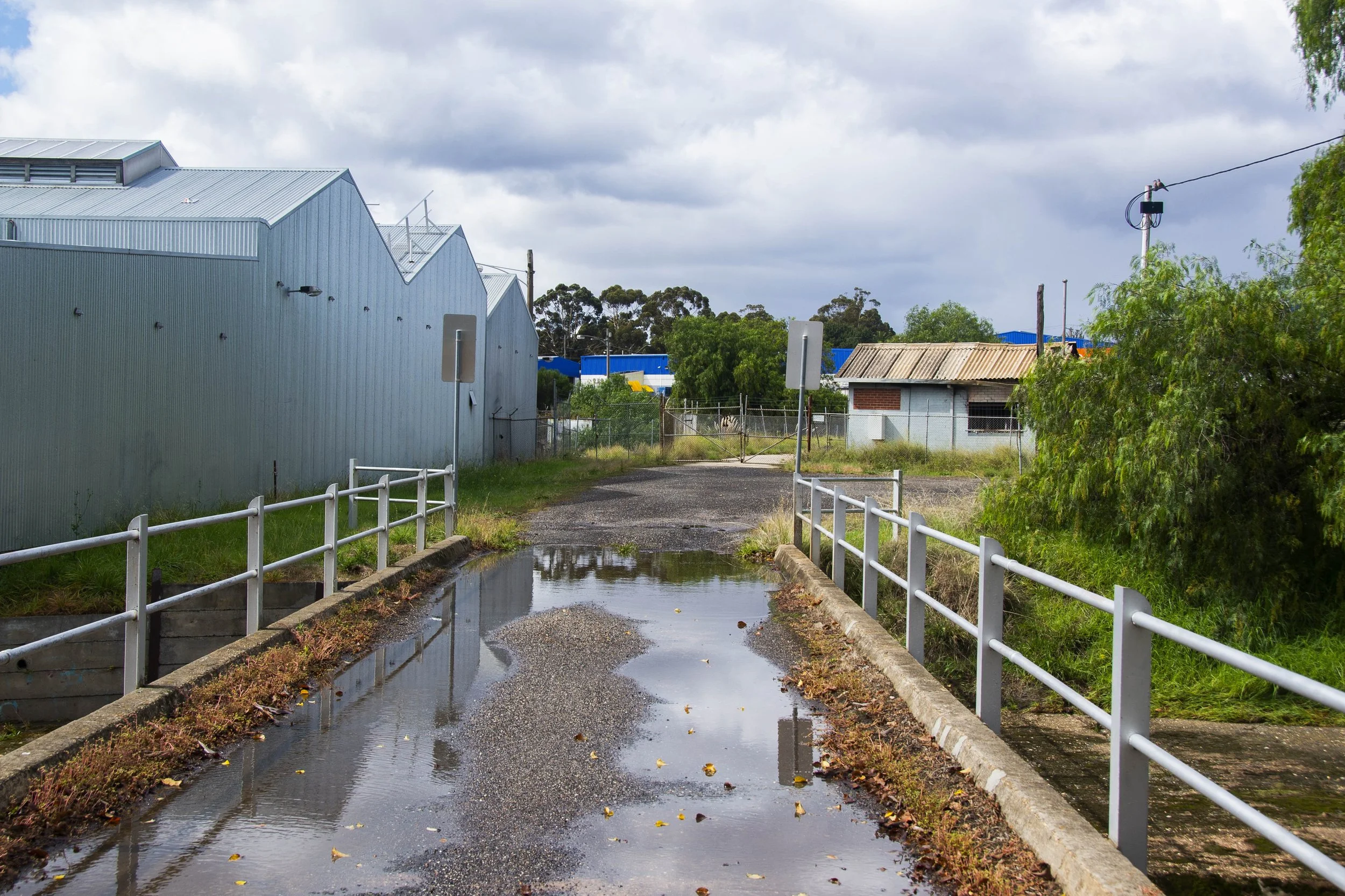 Bendigo Mils