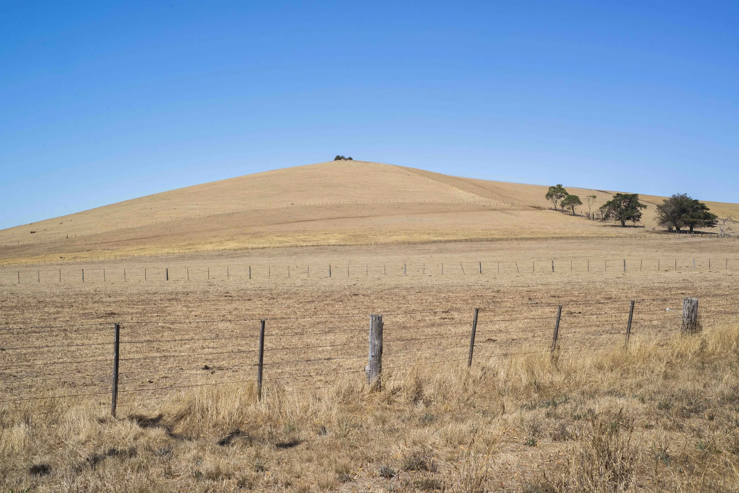 Clunes Hill 2018