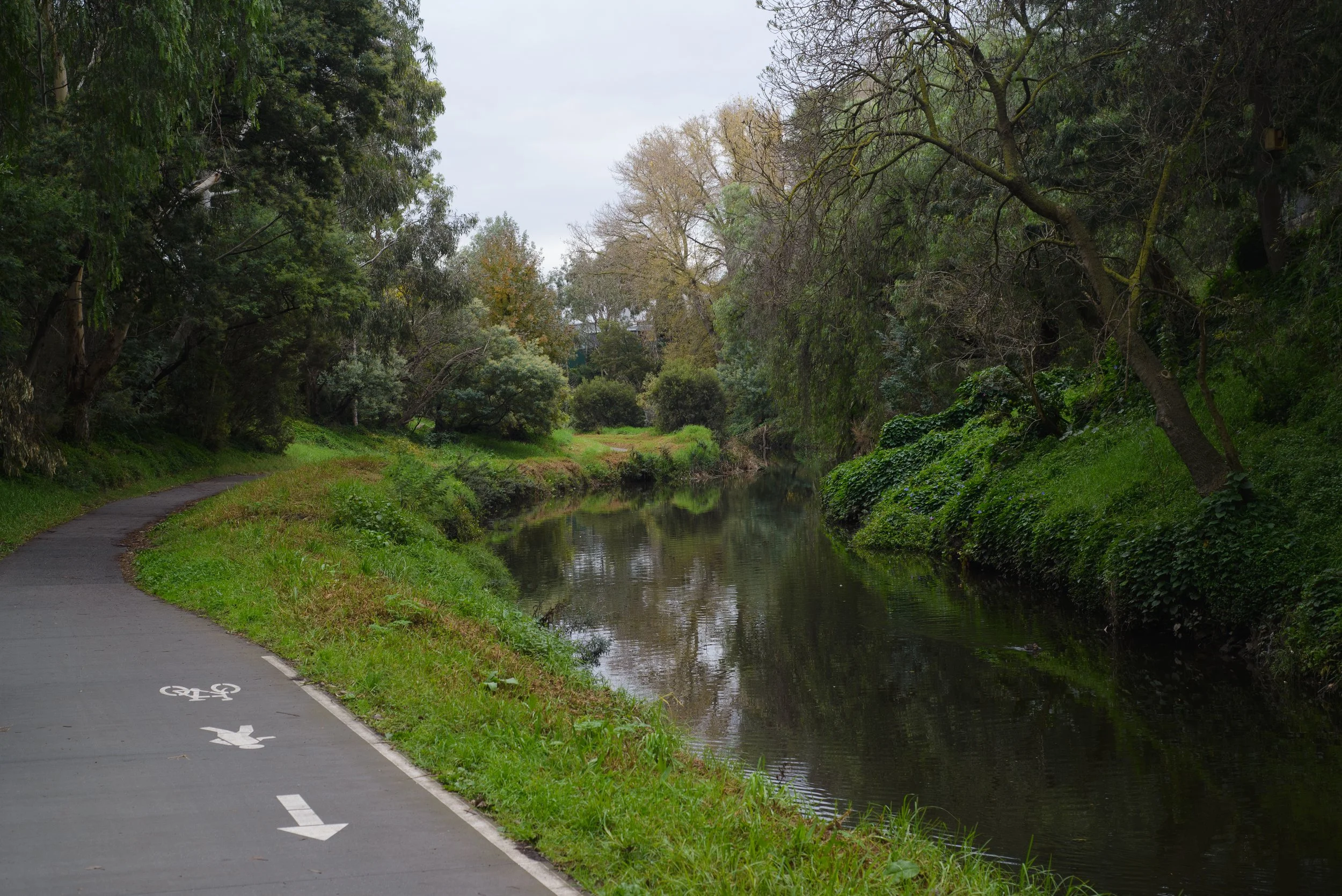 MERRICREEK_MAY2021.jpg