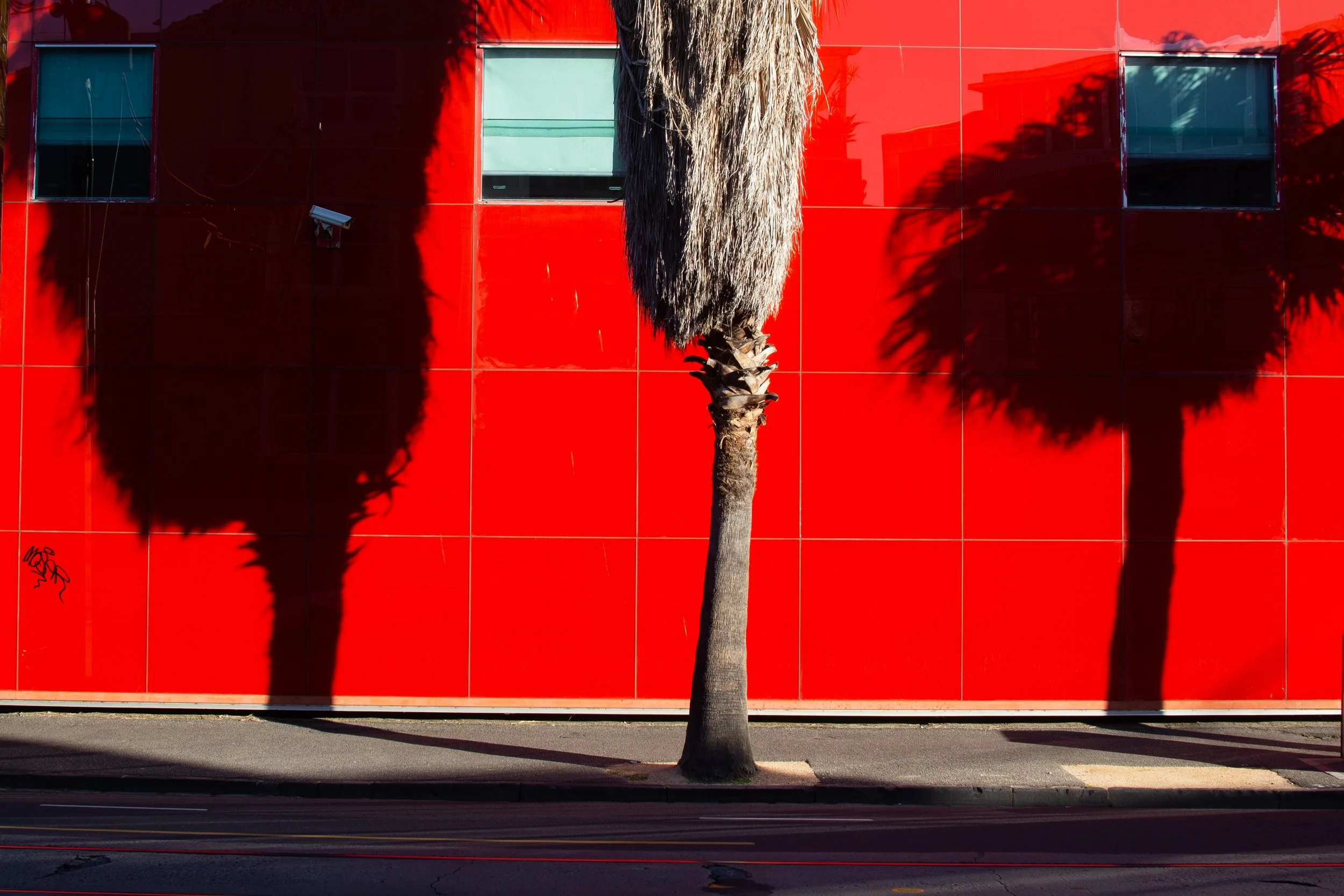 St Kilda Palms