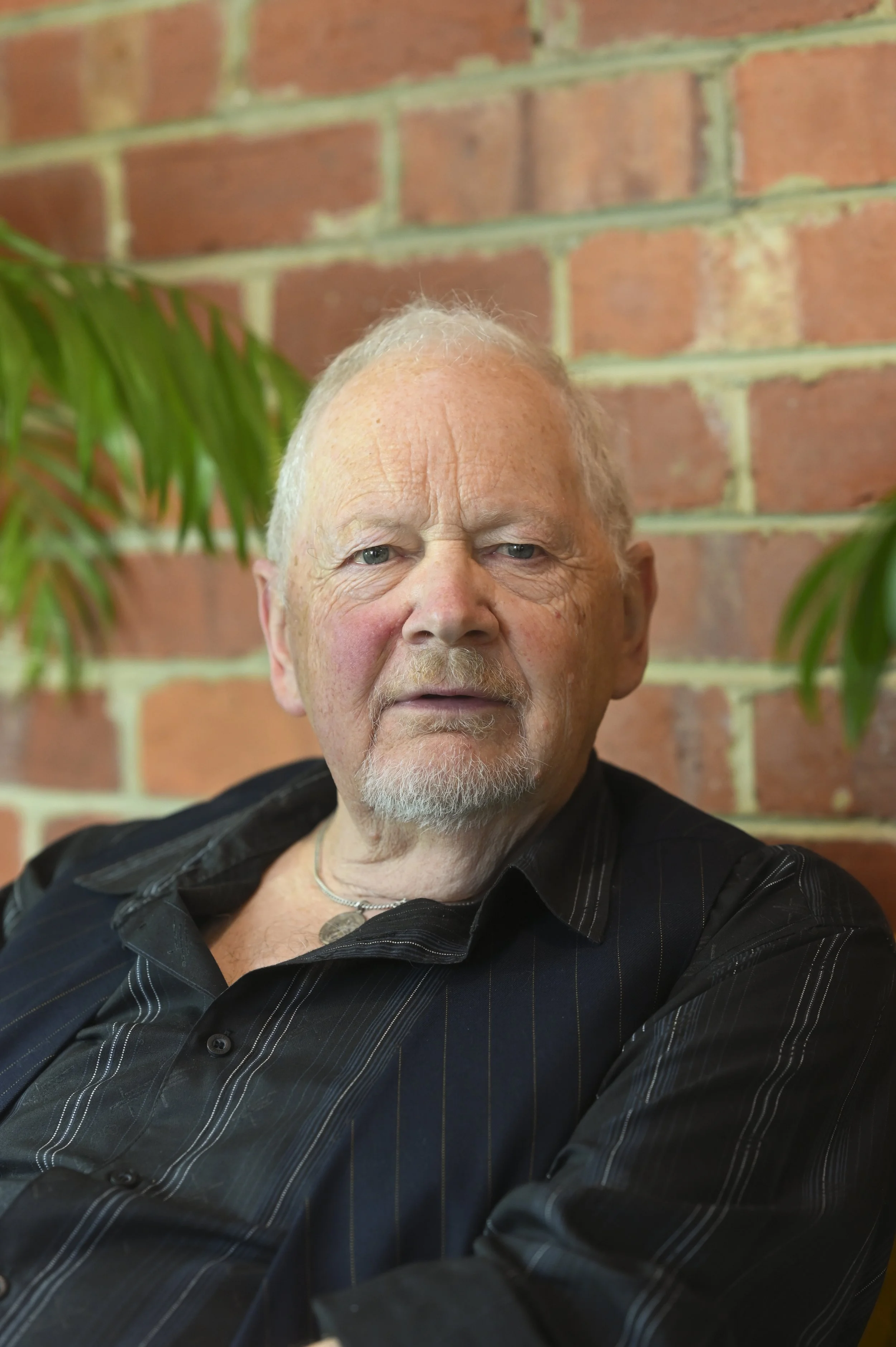 An elderly man with light hair and beard, wearing a black pinstriped shirt, sitting against a brick wall with green plants nearby.