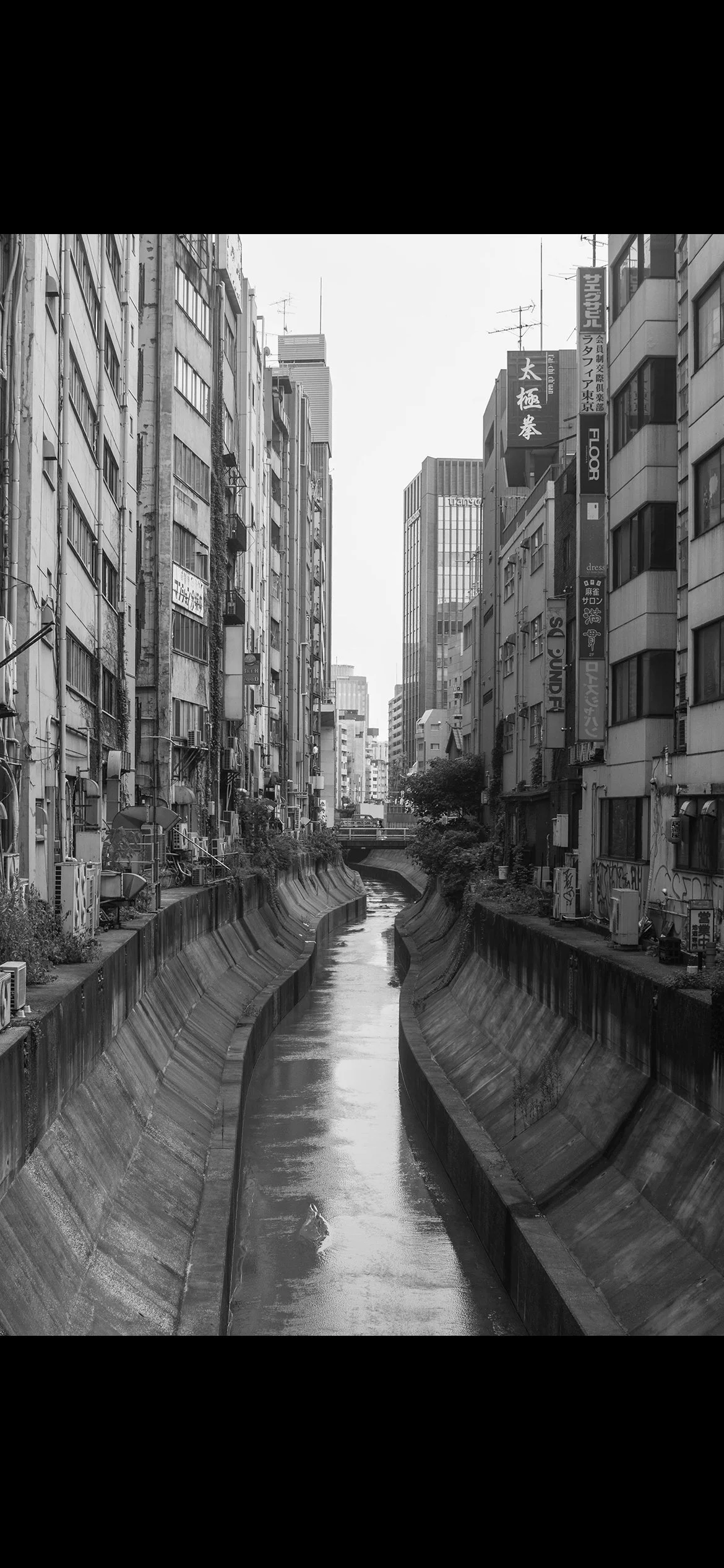 SHIBUYA_WURSTER_2014.jpg