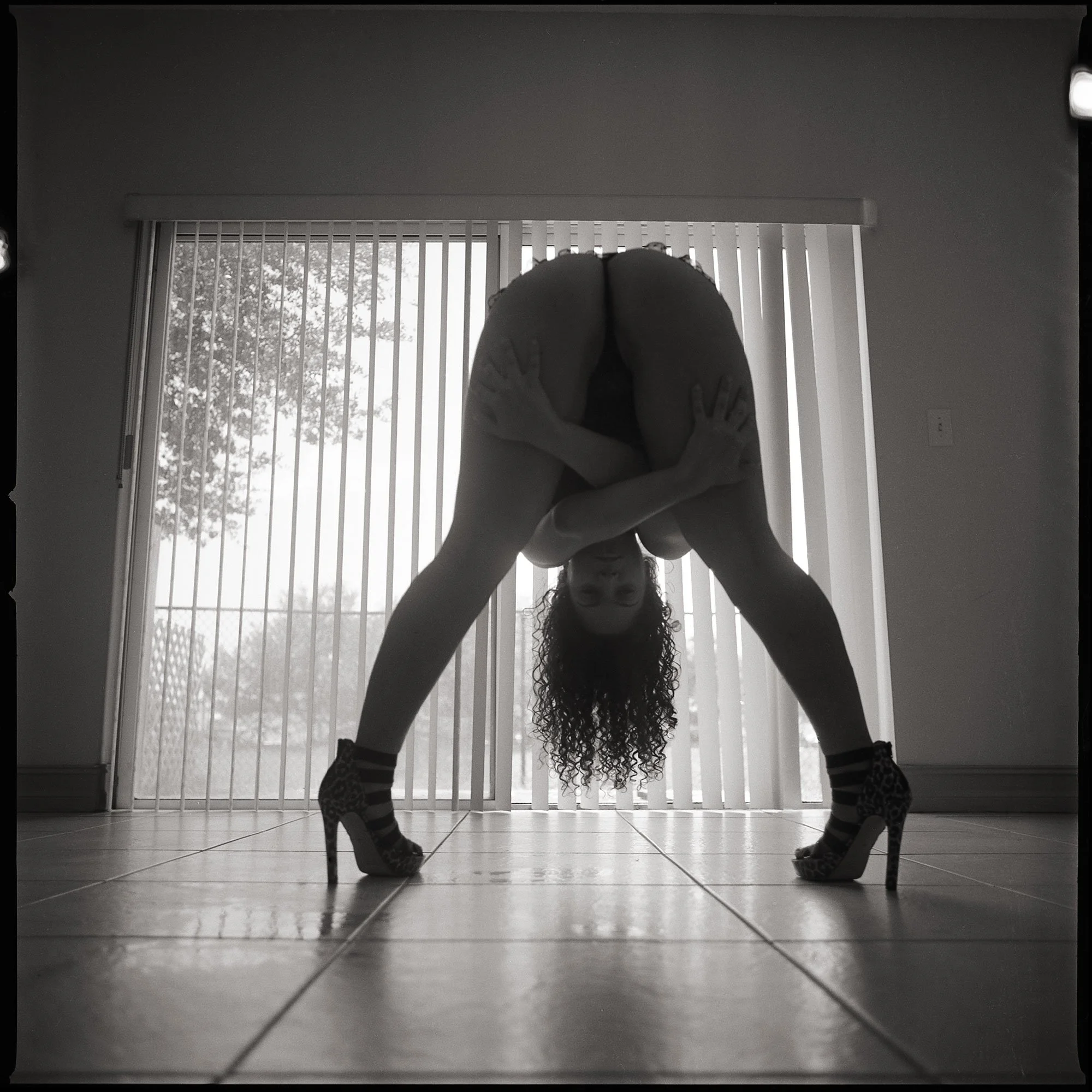irisFILM.15pp.may2026.jpg
