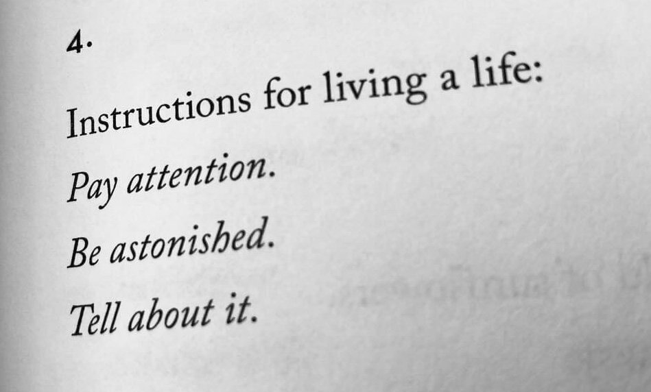 #10 Why “The Insightful Creative?”