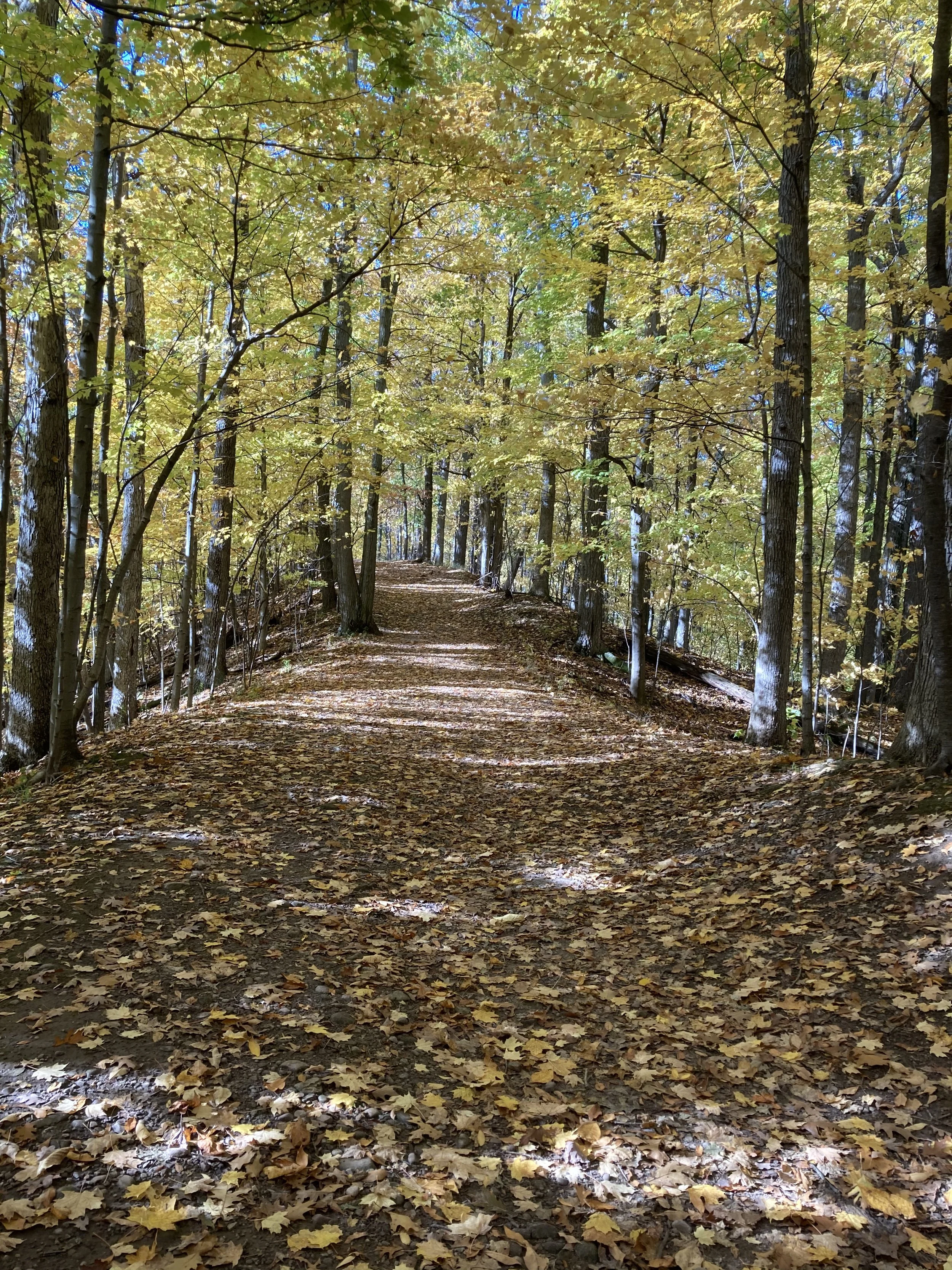 Meditations for Mortals - week two, day eight