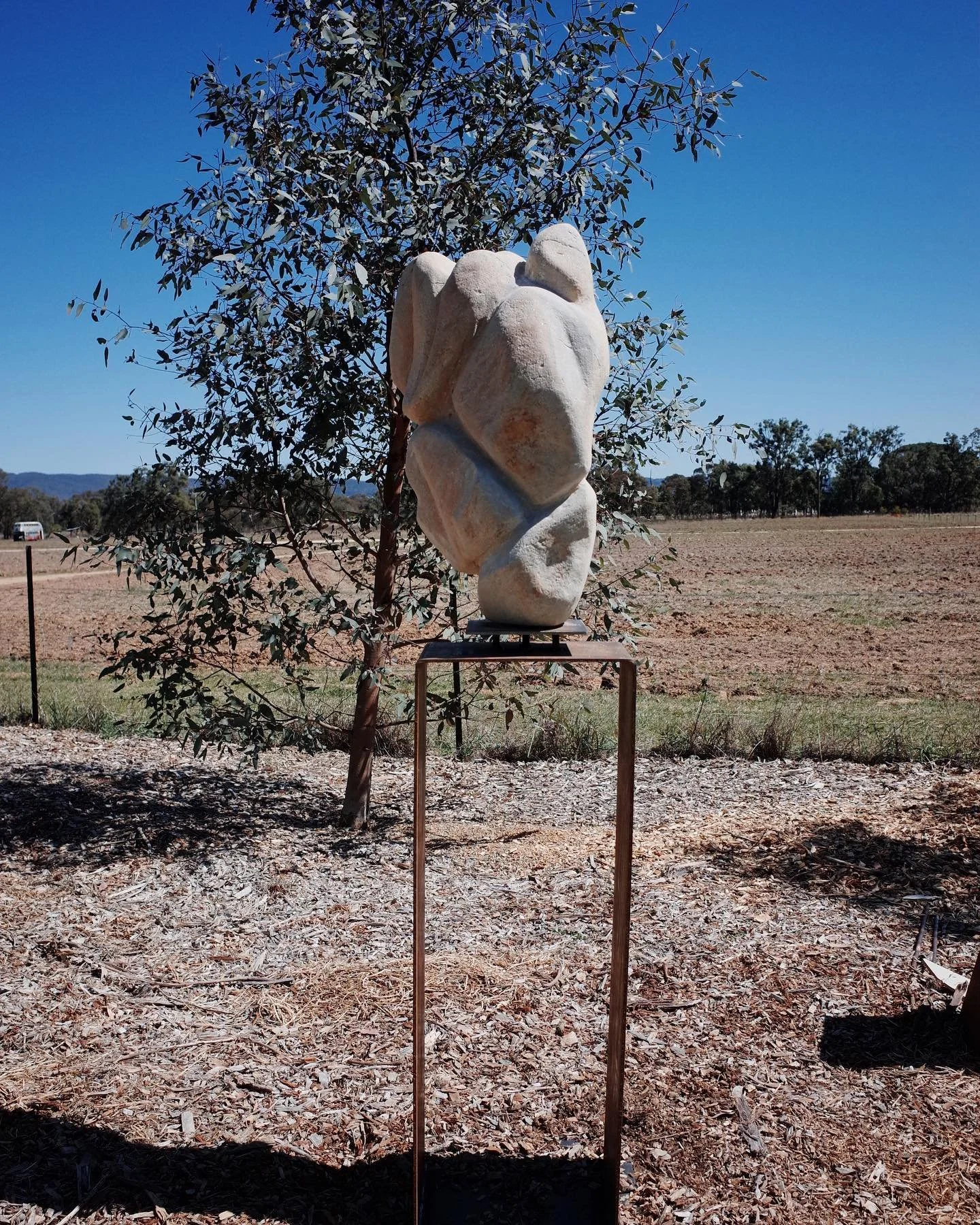 Frontside view of &ldquo;Nature dances too&rdquo; my sculptural debut piece which will be on show at @sculpturesinthegarden from Oct 7th.

This piece has been a long time coming. The skillset I&rsquo;ve been developing over the last couple of years i