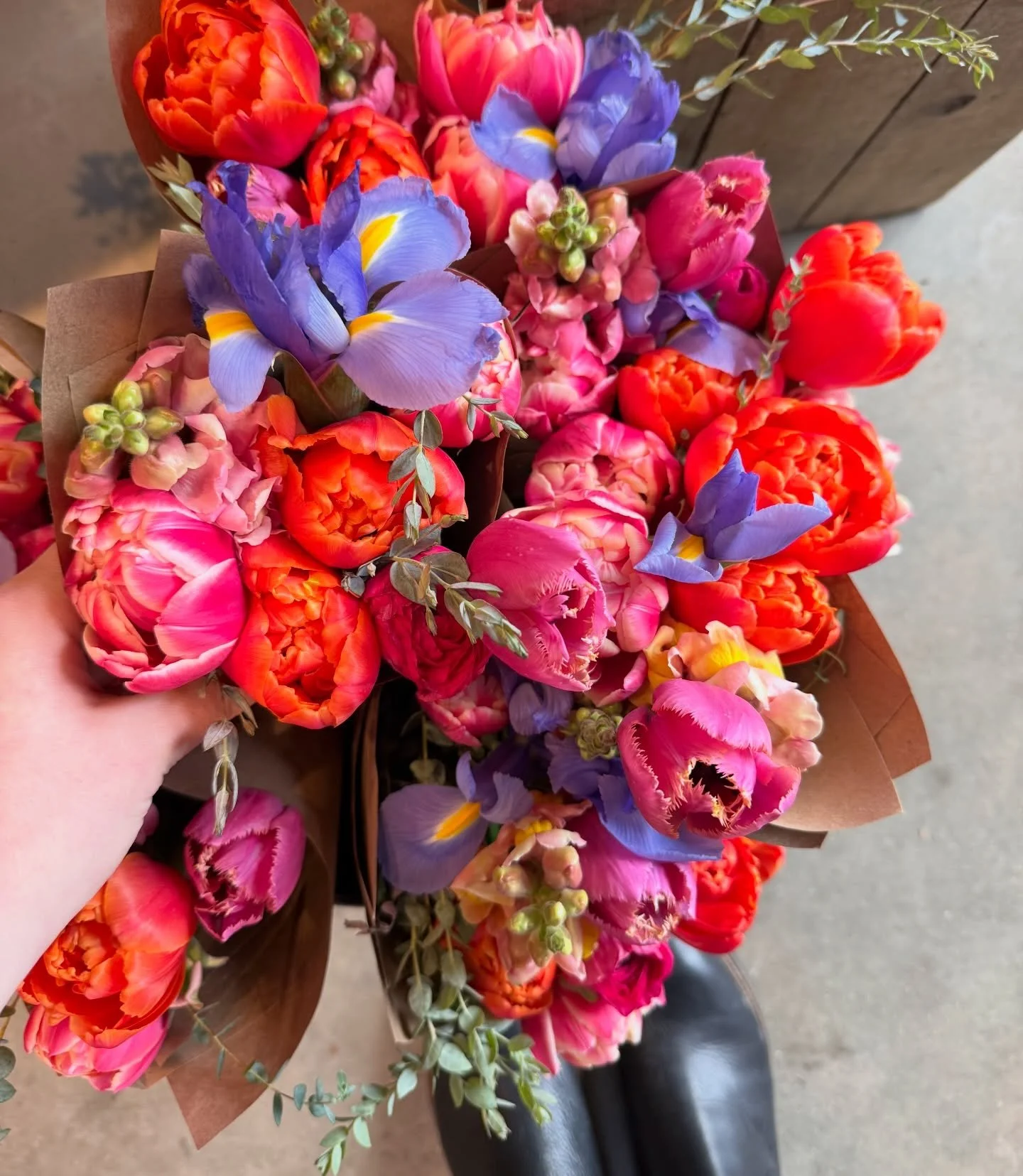 Little bit of life lately 🤍 just a mix of work, creating, living, and gathering inspiration along the way. 

#lifelately #behindthescenes #creativeprocess #contentcreator #brandstorytelling