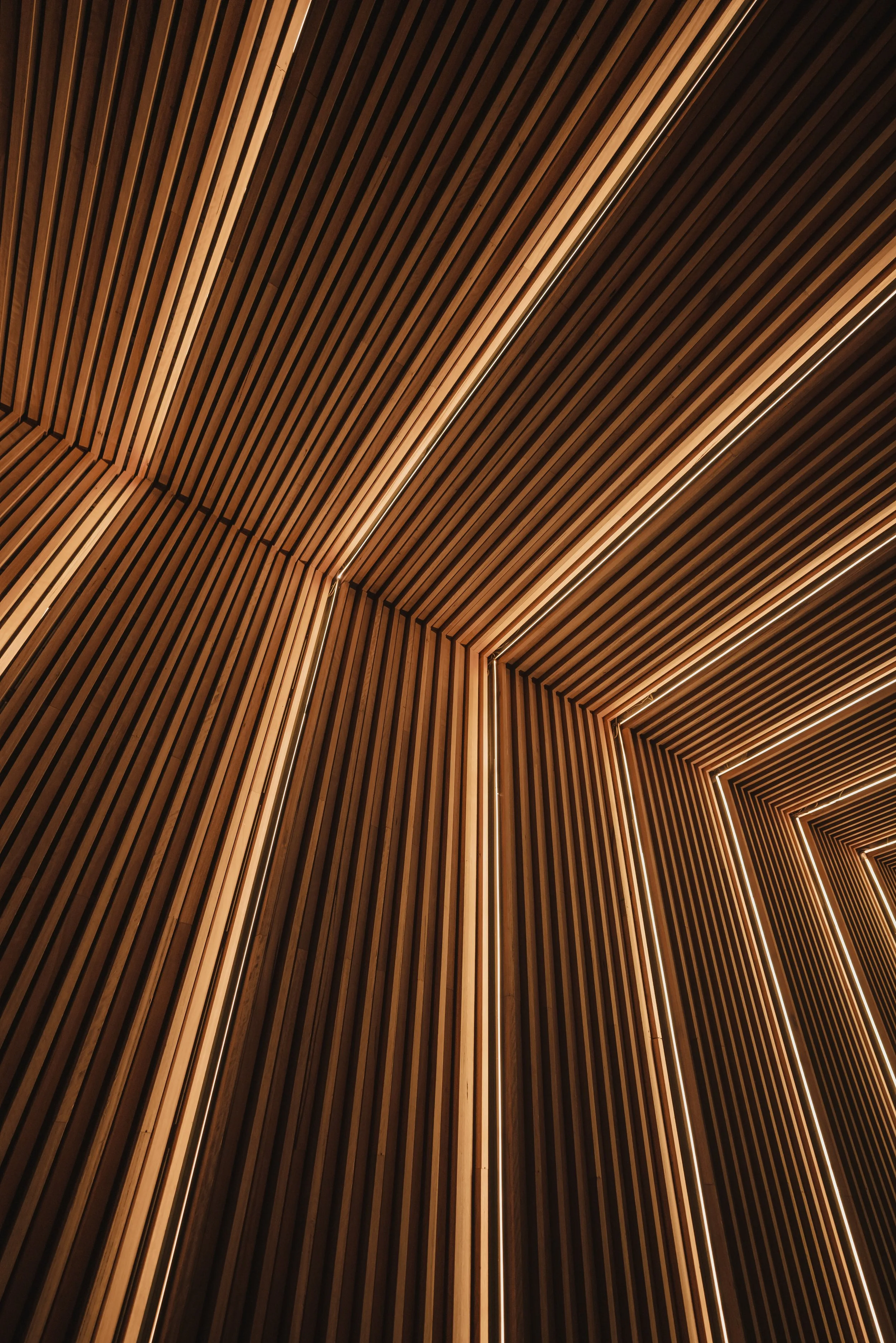 Interior of a modern space with curved wooden slat ceiling and integrated lighting.