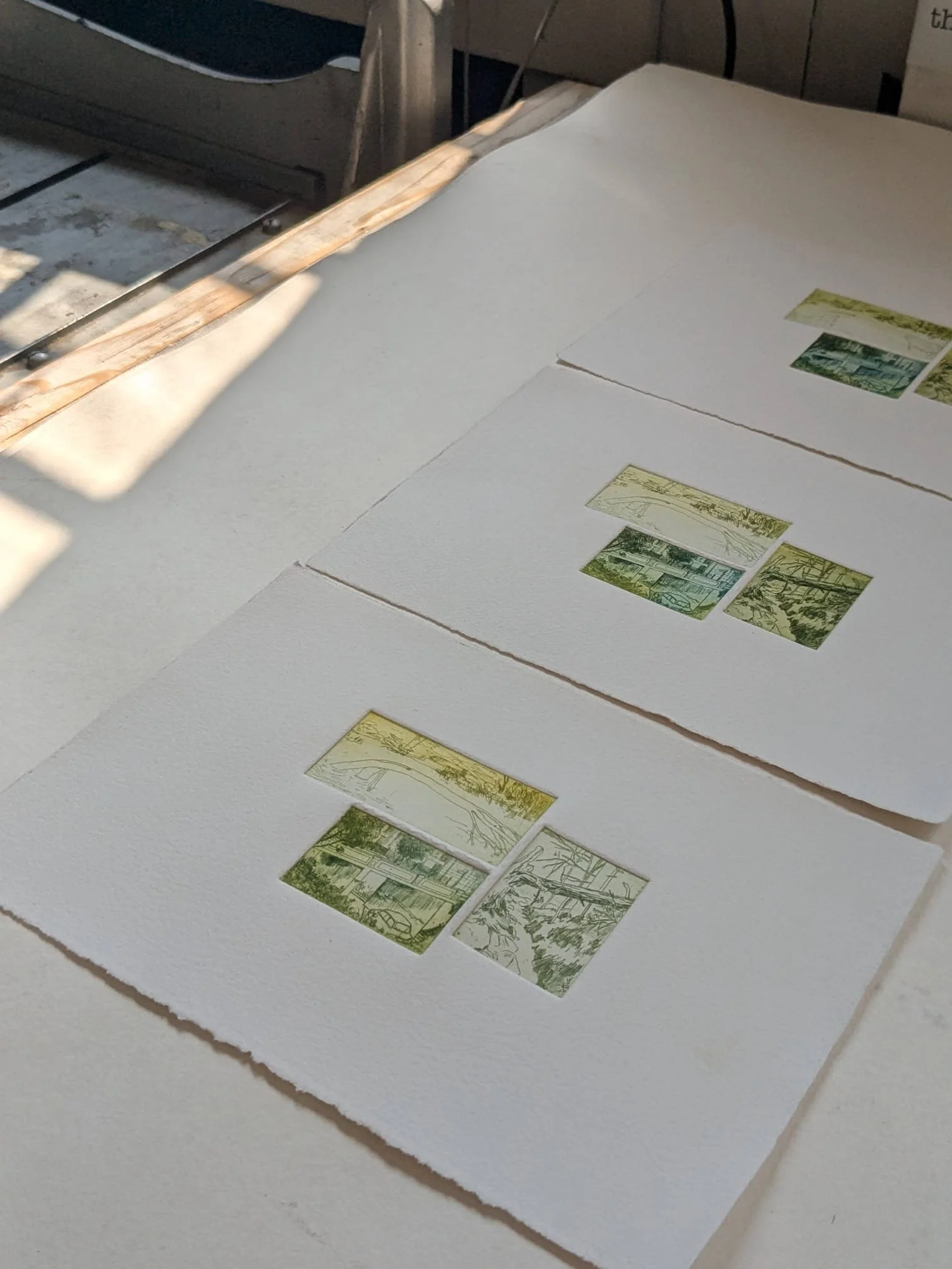 WhatsApp Image 2026-01-09 at 12.01.48.jpeg