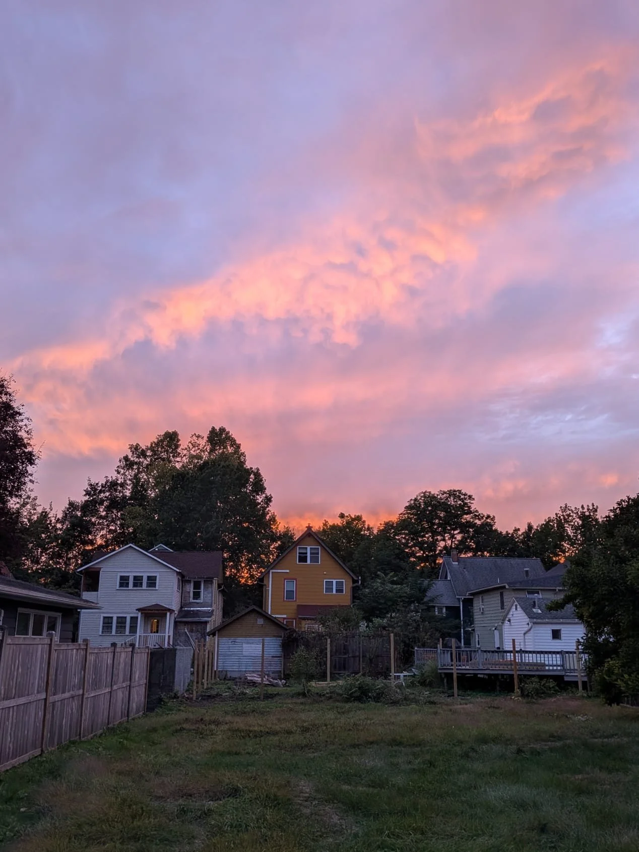 WhatsApp Image 2026-01-09 at 11.57.47.jpeg