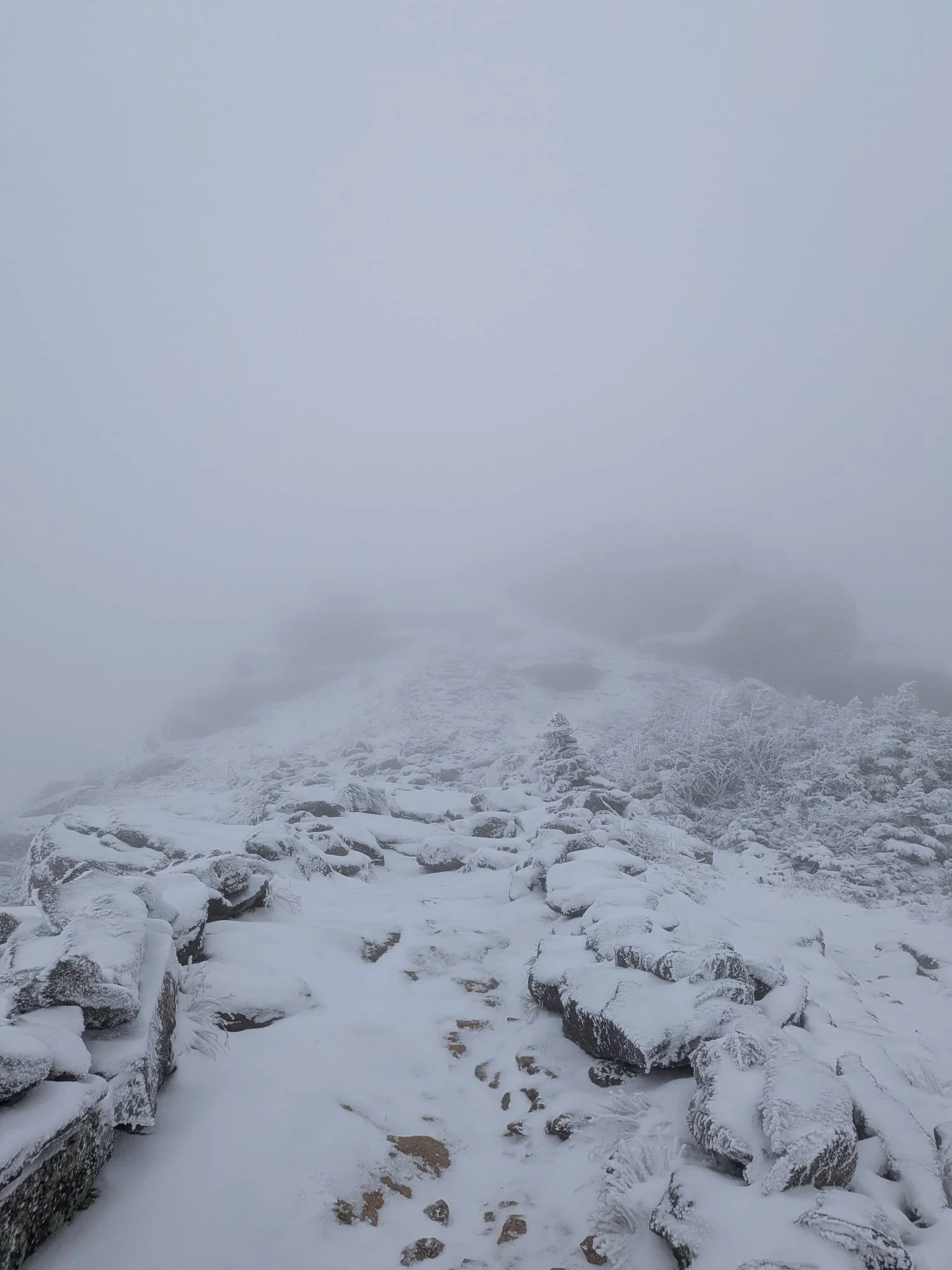 WhatsApp Image 2026-01-09 at 12.00.21.jpeg