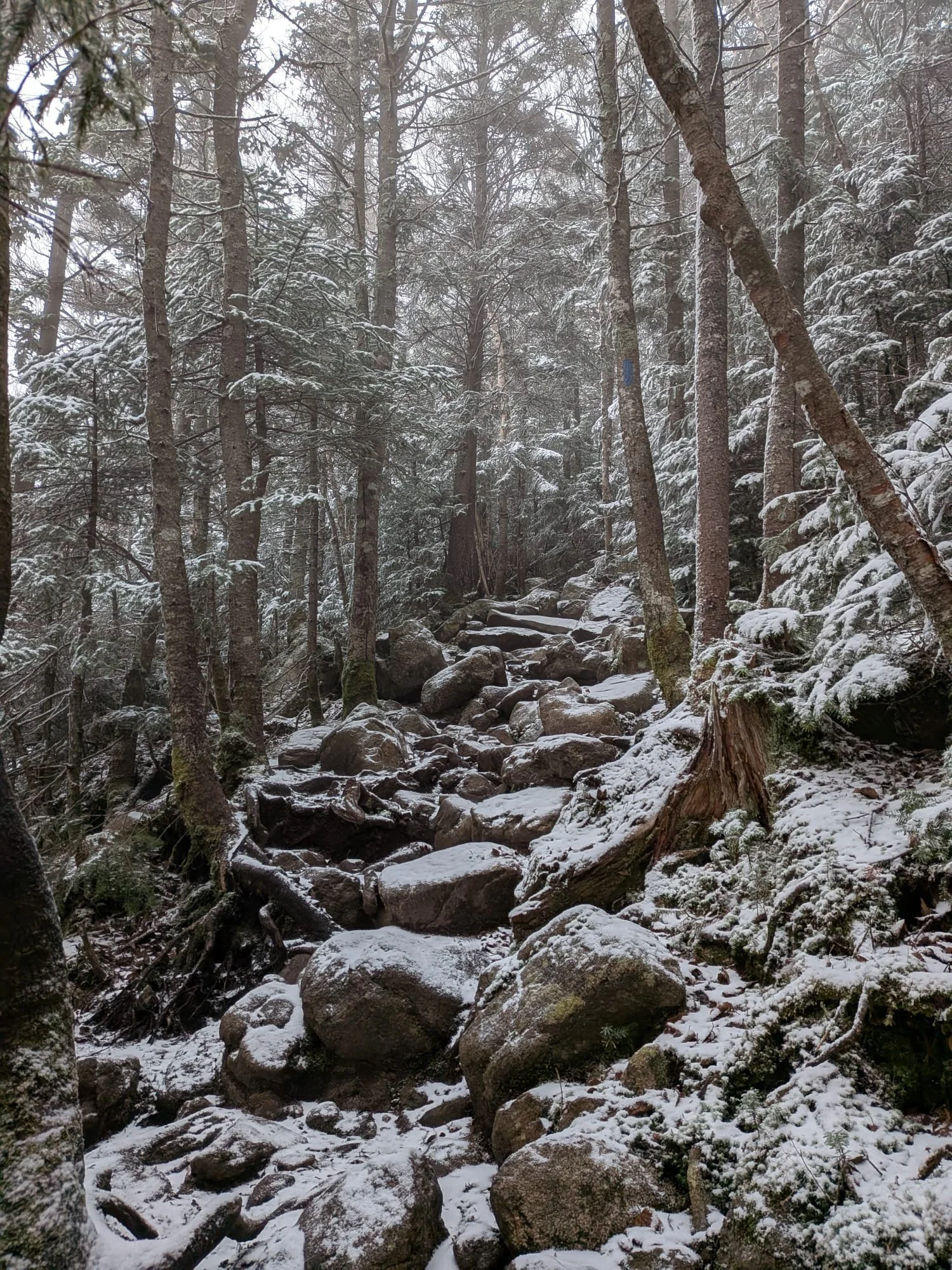 WhatsApp Image 2026-01-09 at 11.55.50.jpeg