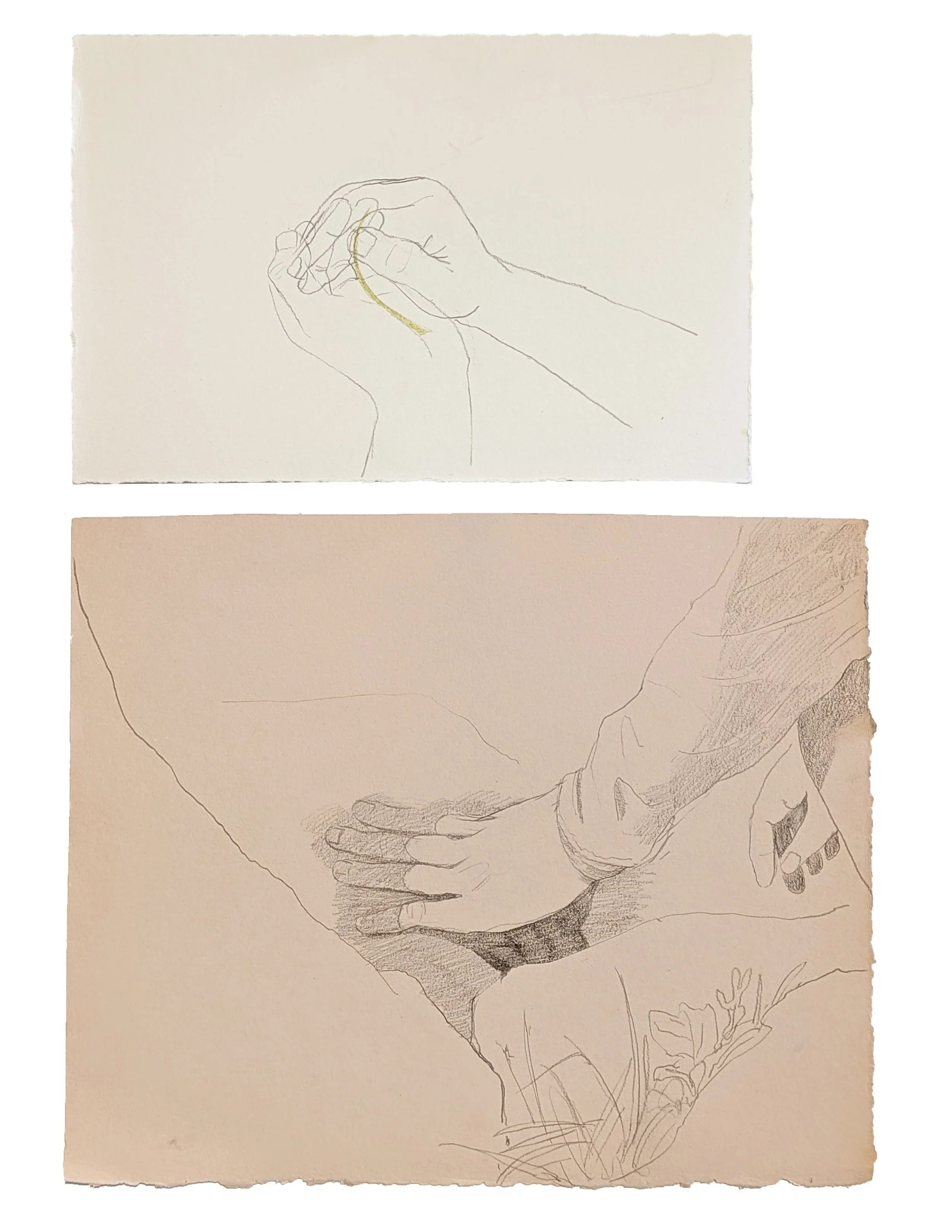 "carry" - pencil drawings