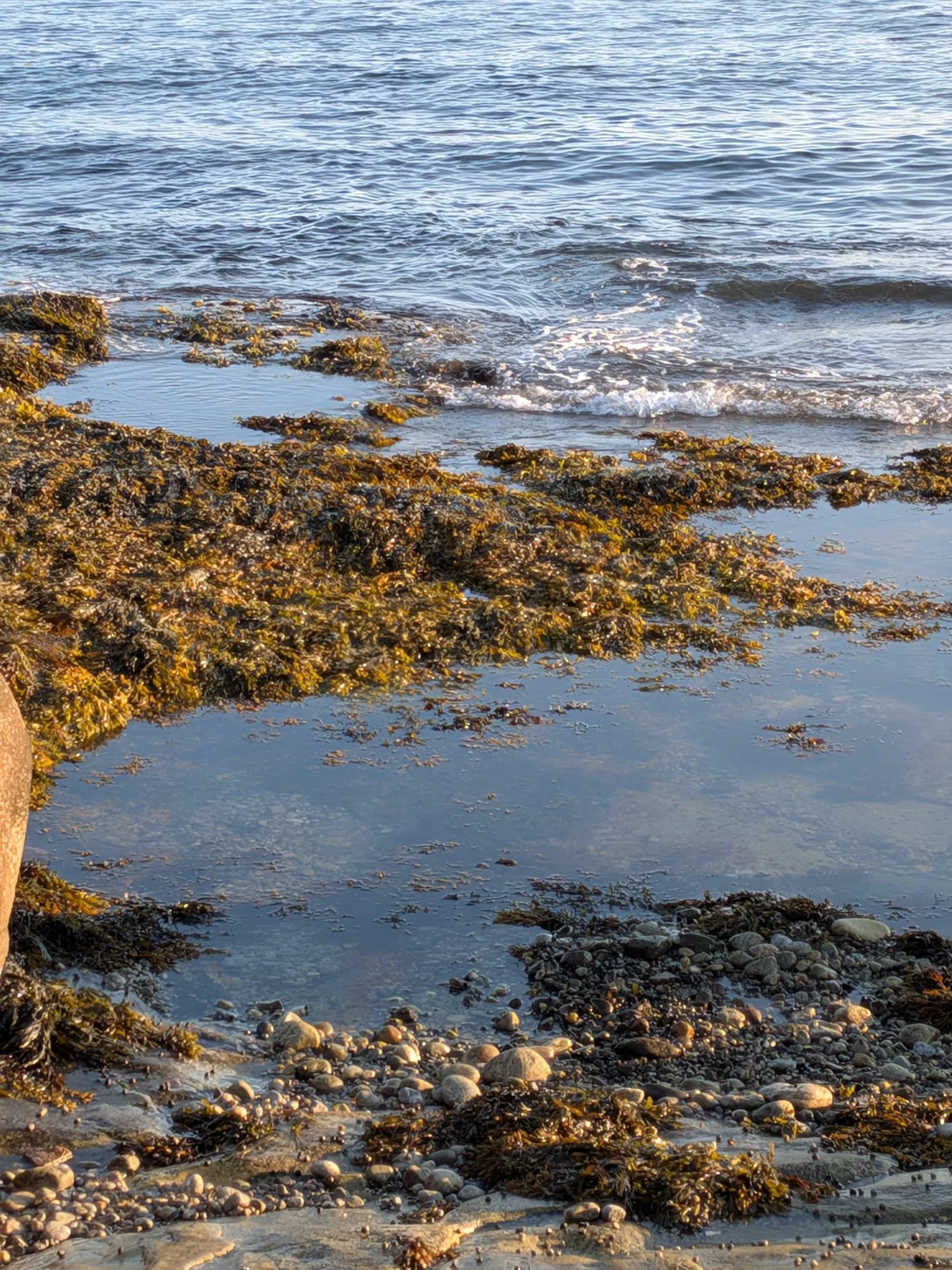 WhatsApp Image 2026-01-09 at 11.59.20.jpeg