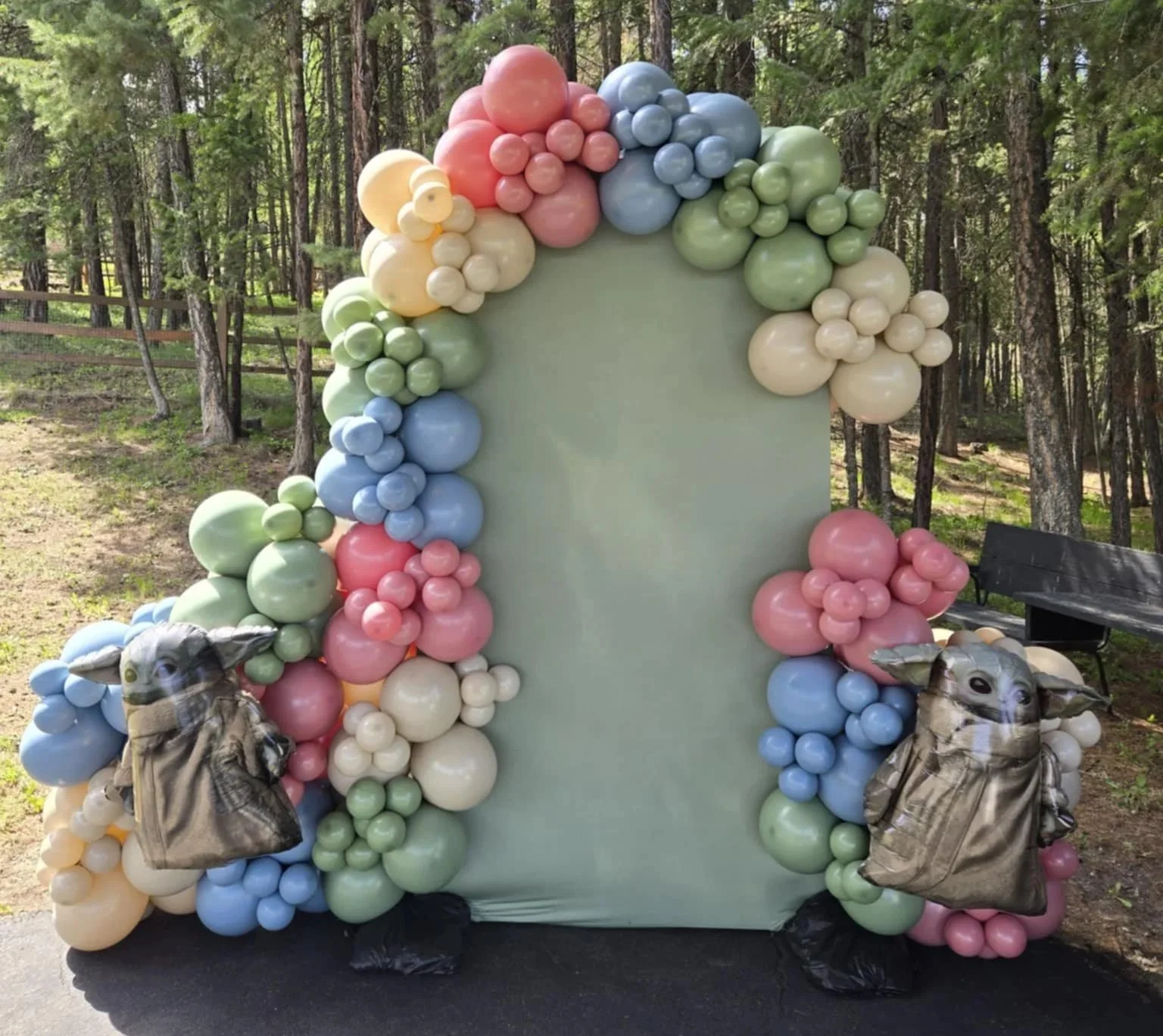 Baby Shower/ Gender Reveal