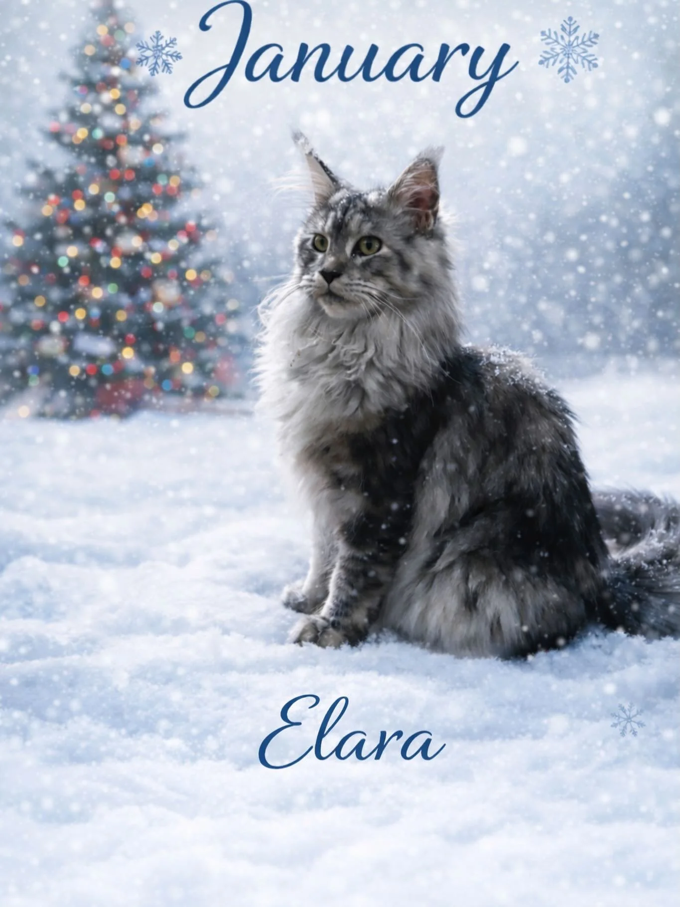 ✨ Happy New Year from Singularity Maine Coons ✨

What a year 2025 was and how incredibly exciting 2026 is going to shape up! 🖤🐾

We&rsquo;re kicking off the new year with our letter to all of you, sharing a little bit of us with all of you. As ment