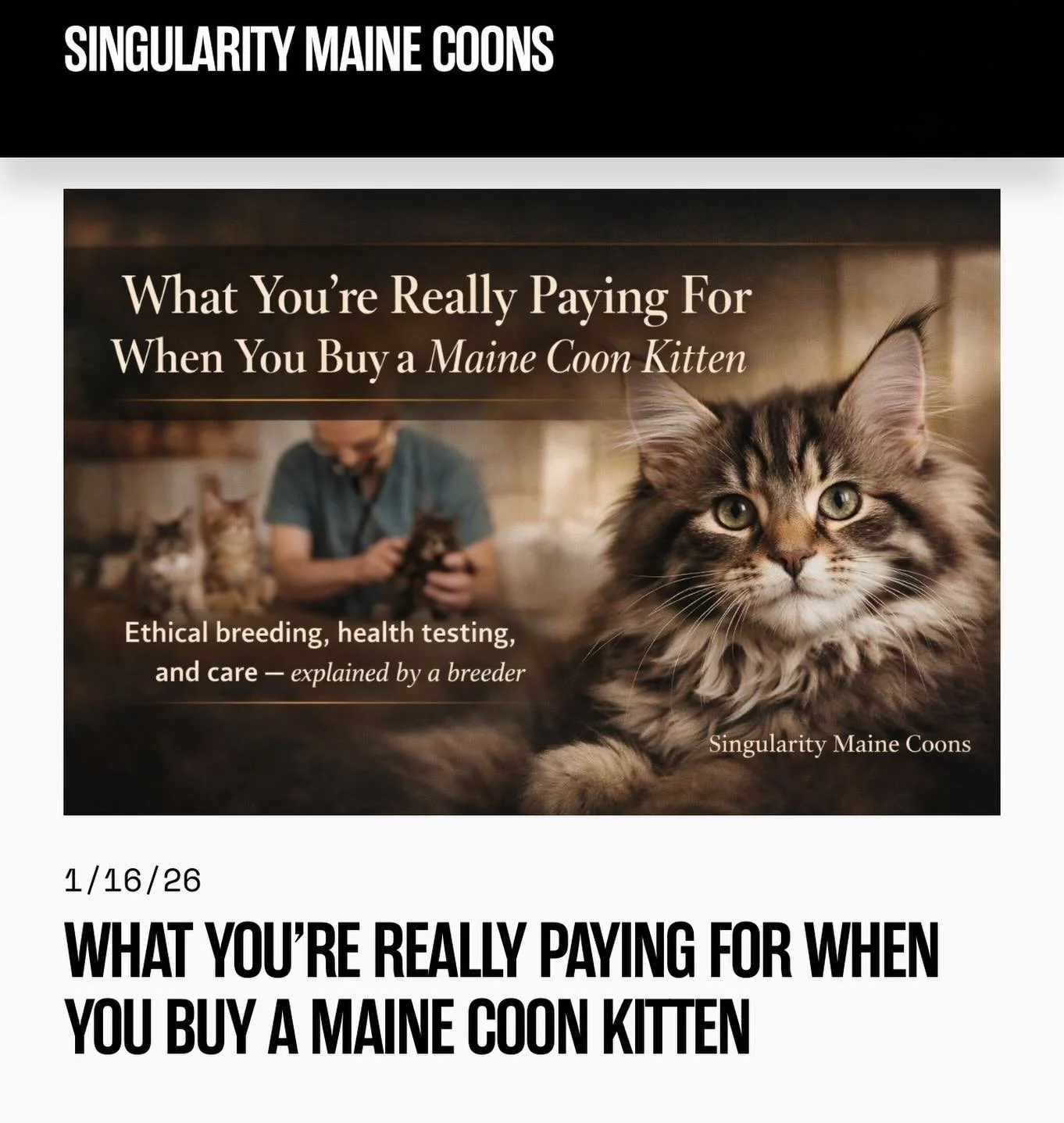 It&rsquo;s Friday! ✨
Which means we&rsquo;re continuing our Buyer Education theme for the month.

If you&rsquo;re thinking about adding a fluffy baby to your family, this is a great read. It covers what really matters when choosing a kitten beyond th
