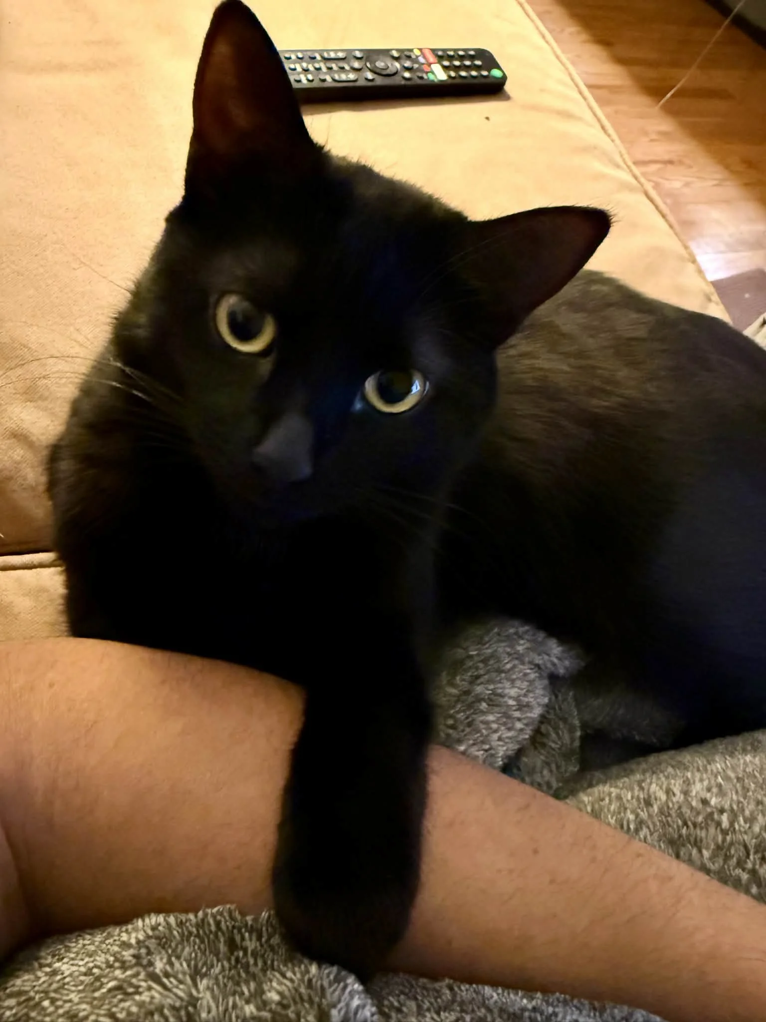 5add4644-eb93-4f3b-aebc-dba19b0c36a8.jfif