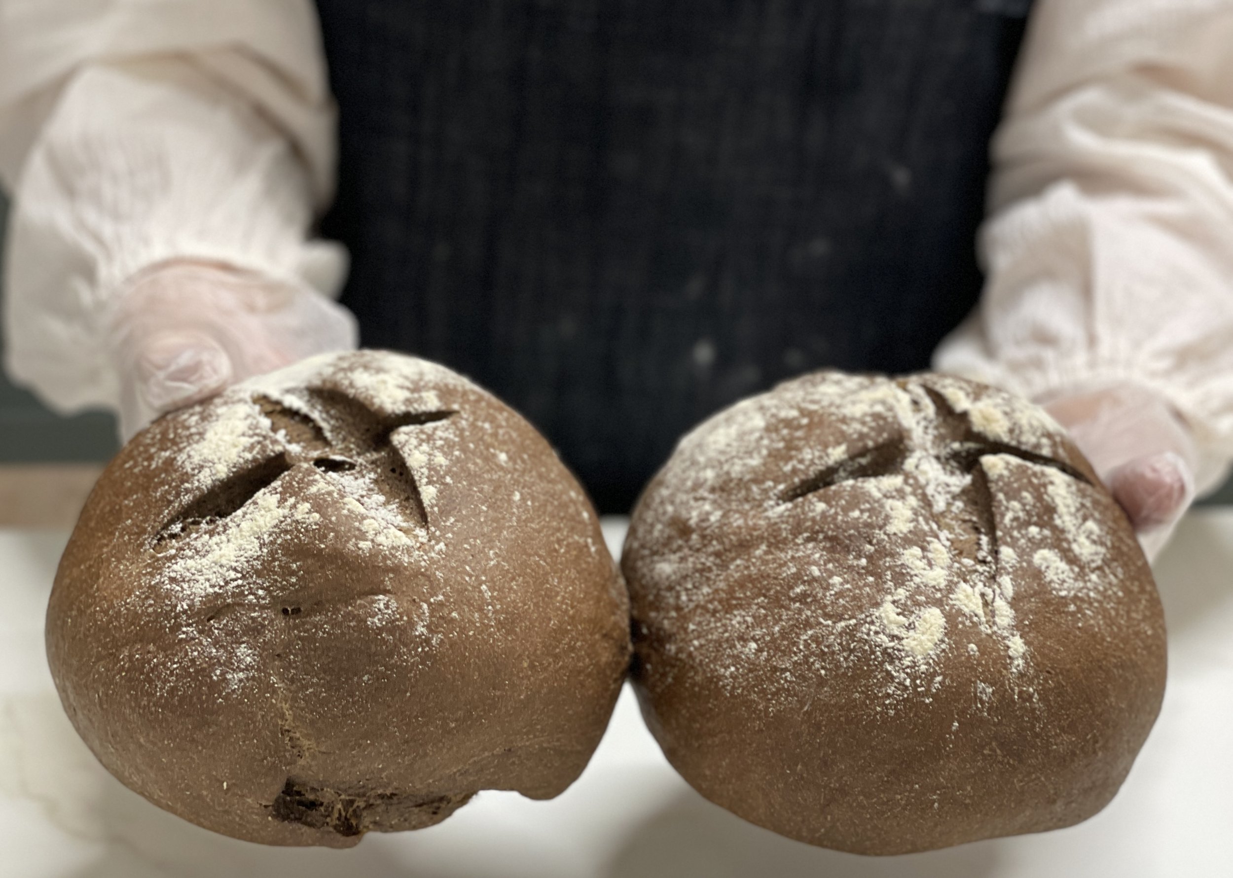 Artisan bread, fresh from the oven