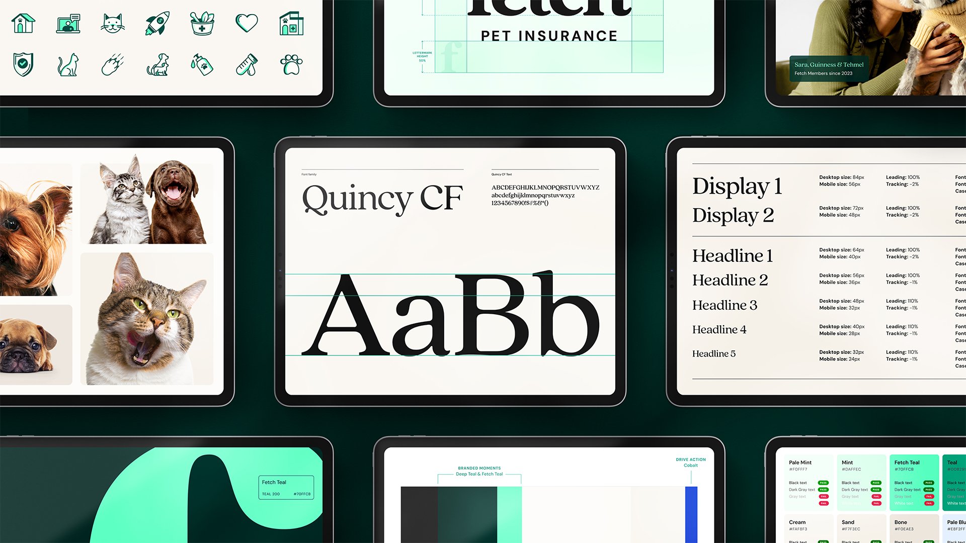Fetch Pet Brand Guidelines