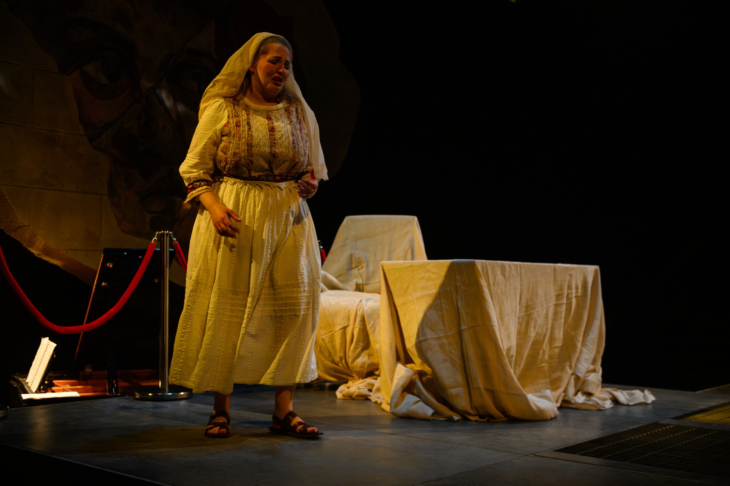 472-(c)-DavidMonteith-Hodge-Photographisepleasecredit-OperaScenesAutumn25-(DMH_2849).jpg