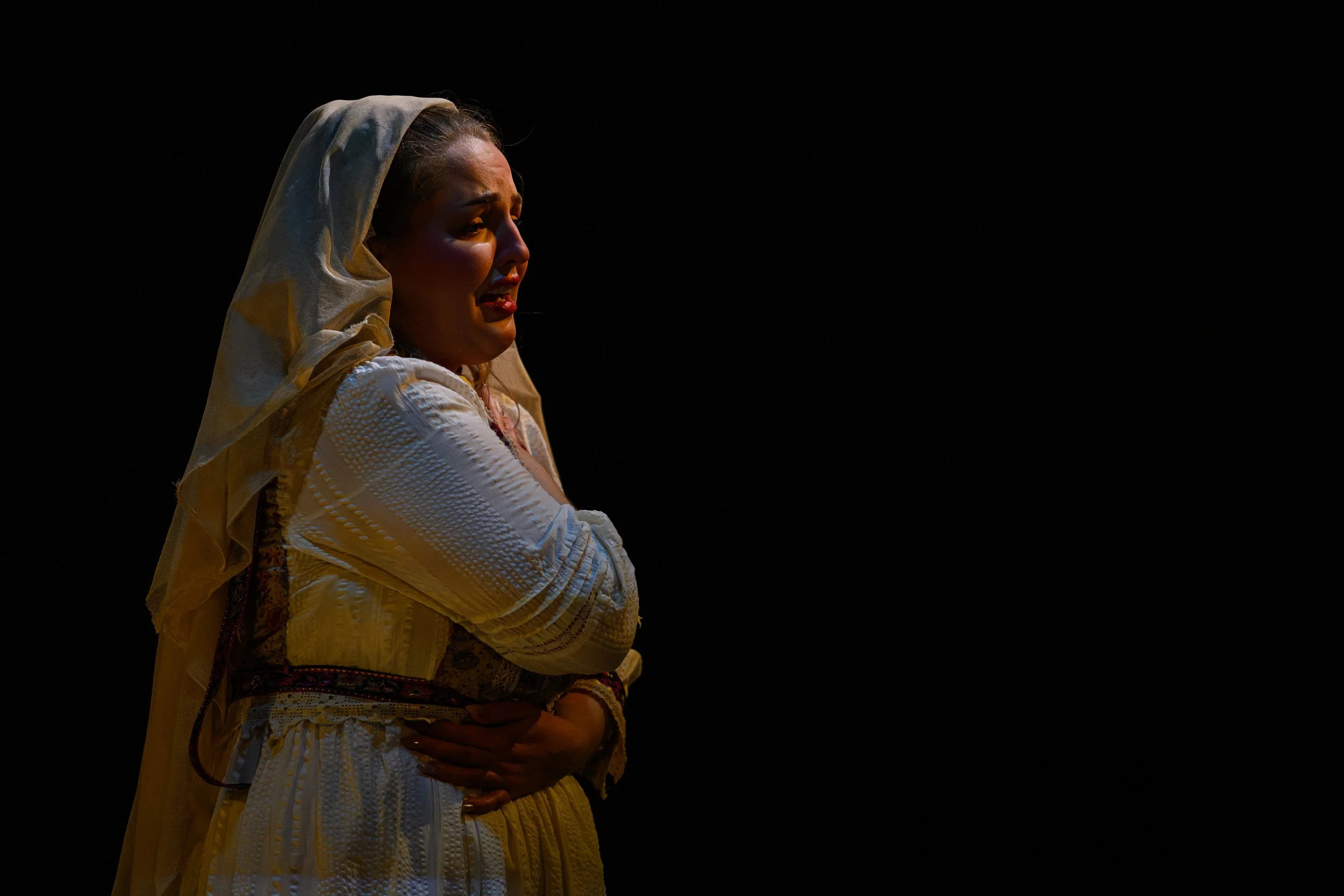 473-(c)-DavidMonteith-Hodge-Photographisepleasecredit-OperaScenesAutumn25-(DMH_5755).jpg