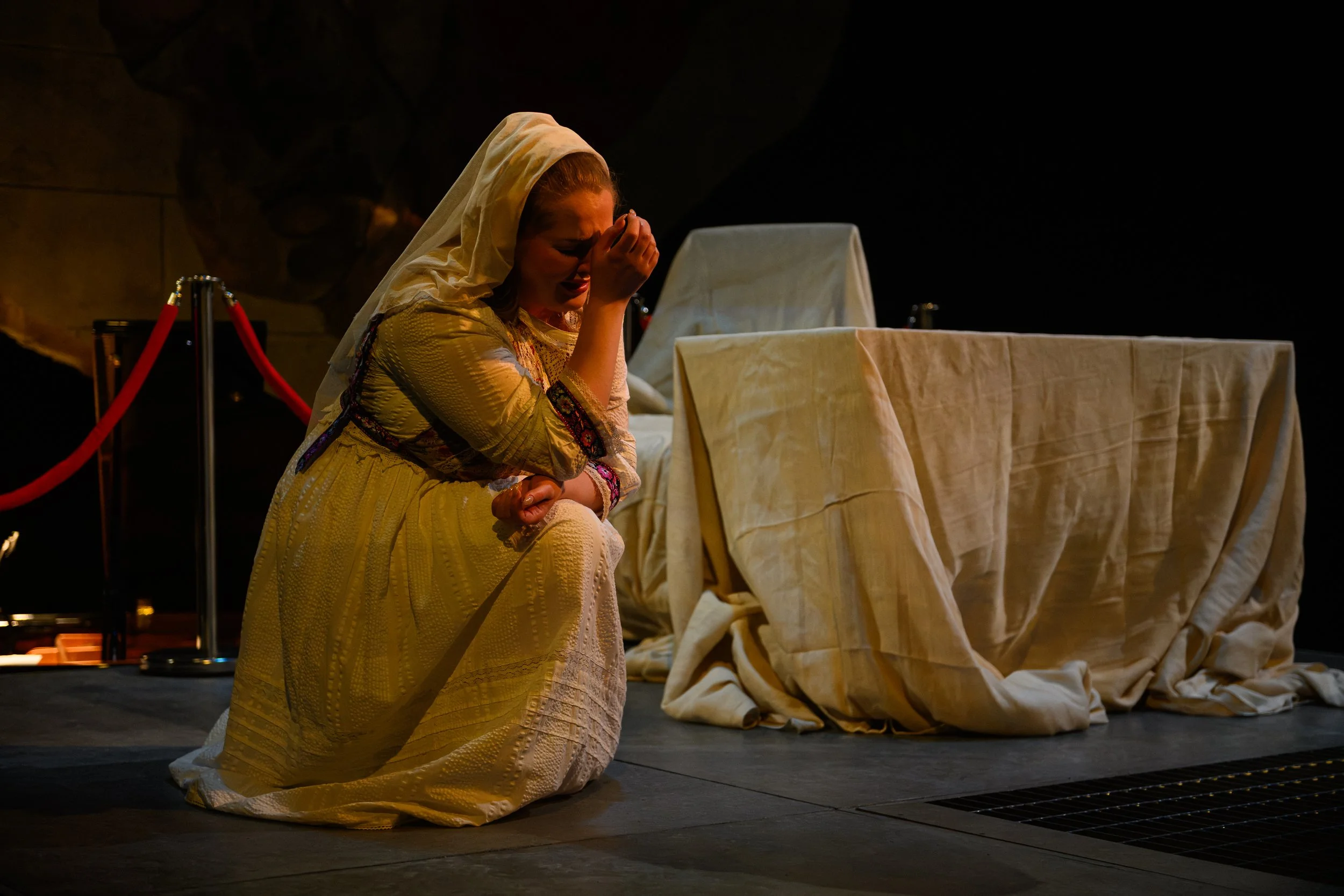 481-(c)-DavidMonteith-Hodge-Photographisepleasecredit-OperaScenesAutumn25-(DMH_2888).jpg