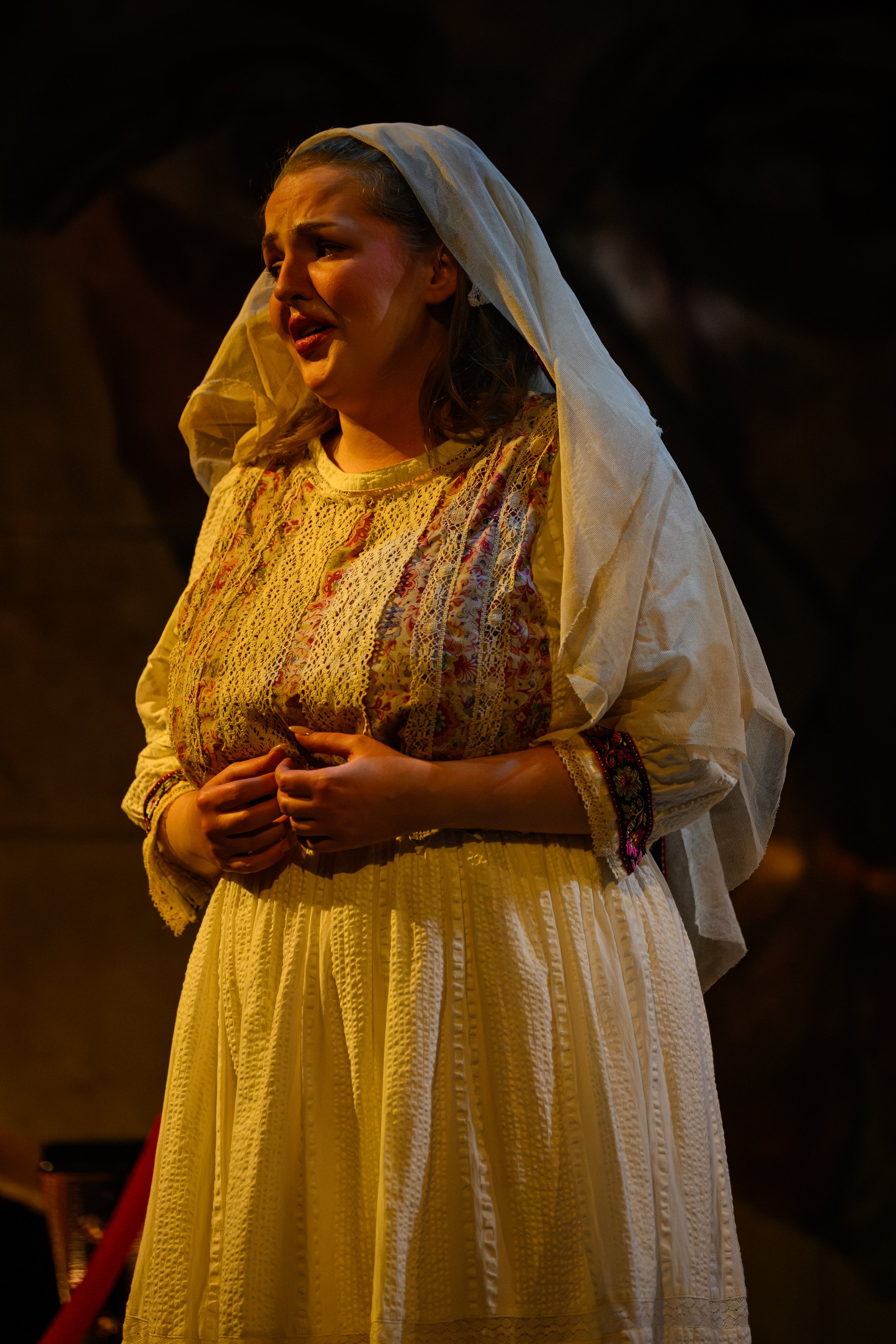 470-(c)-DavidMonteith-Hodge-Photographisepleasecredit-OperaScenesAutumn25-(DMH_5747).jpg