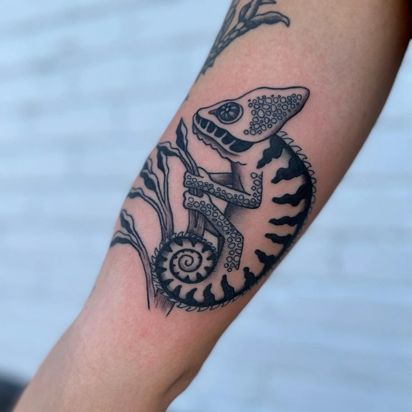 chameleon tattoo kelly hagen