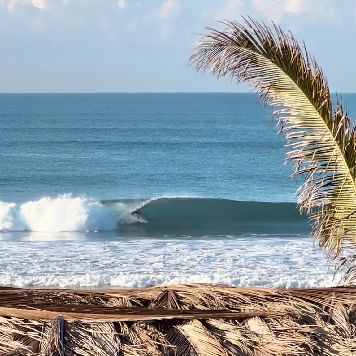 A surfer getting barreled at a secret surf beach in Mexico with palm trees and a clear blue ocean in the background.