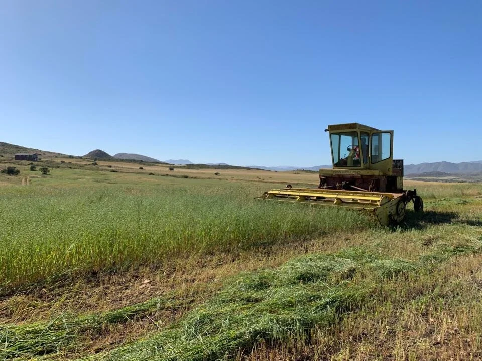 Bendiciones de Dios Lo que Siembras cosechas