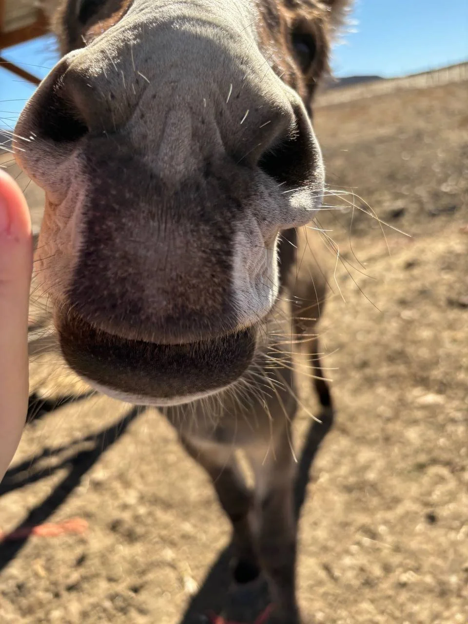 photo_2024-11-22 09.40.09.jpeg