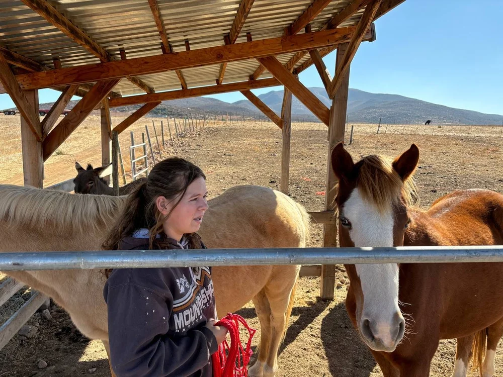 photo_2024-11-22 09.40.11.jpeg